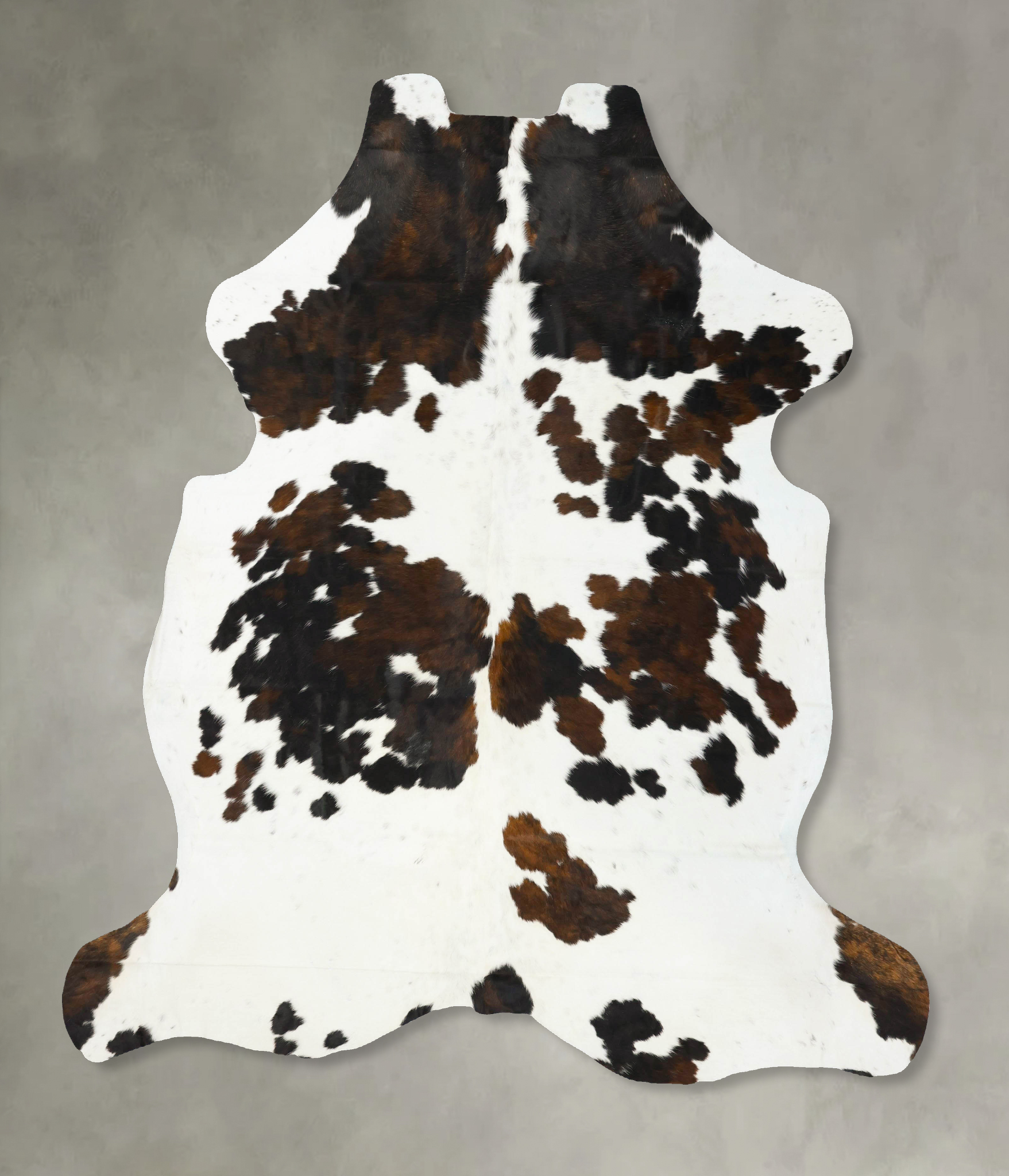 Tricolor Cowhide Rug #B23437