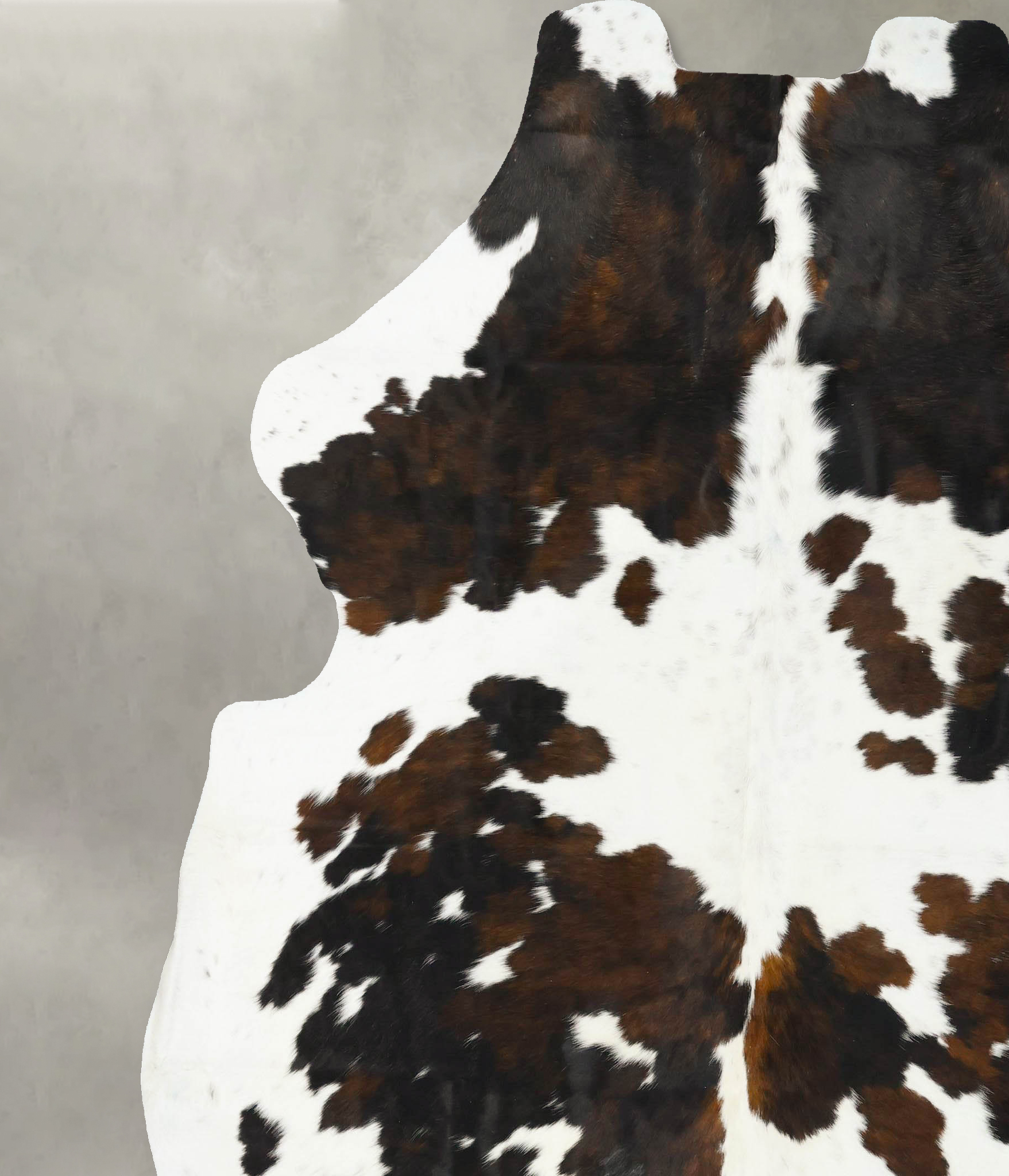 Tricolor Cowhide Rug #B23437