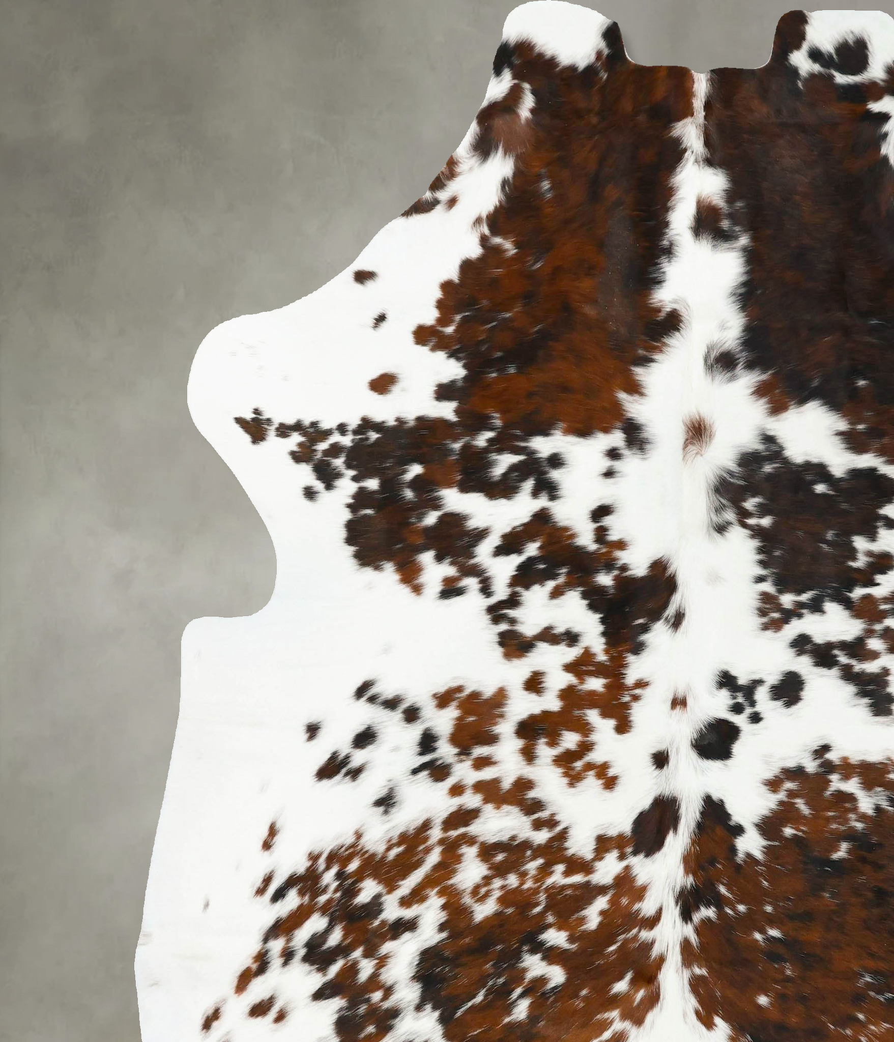 Tricolor Cowhide Rug #B23438