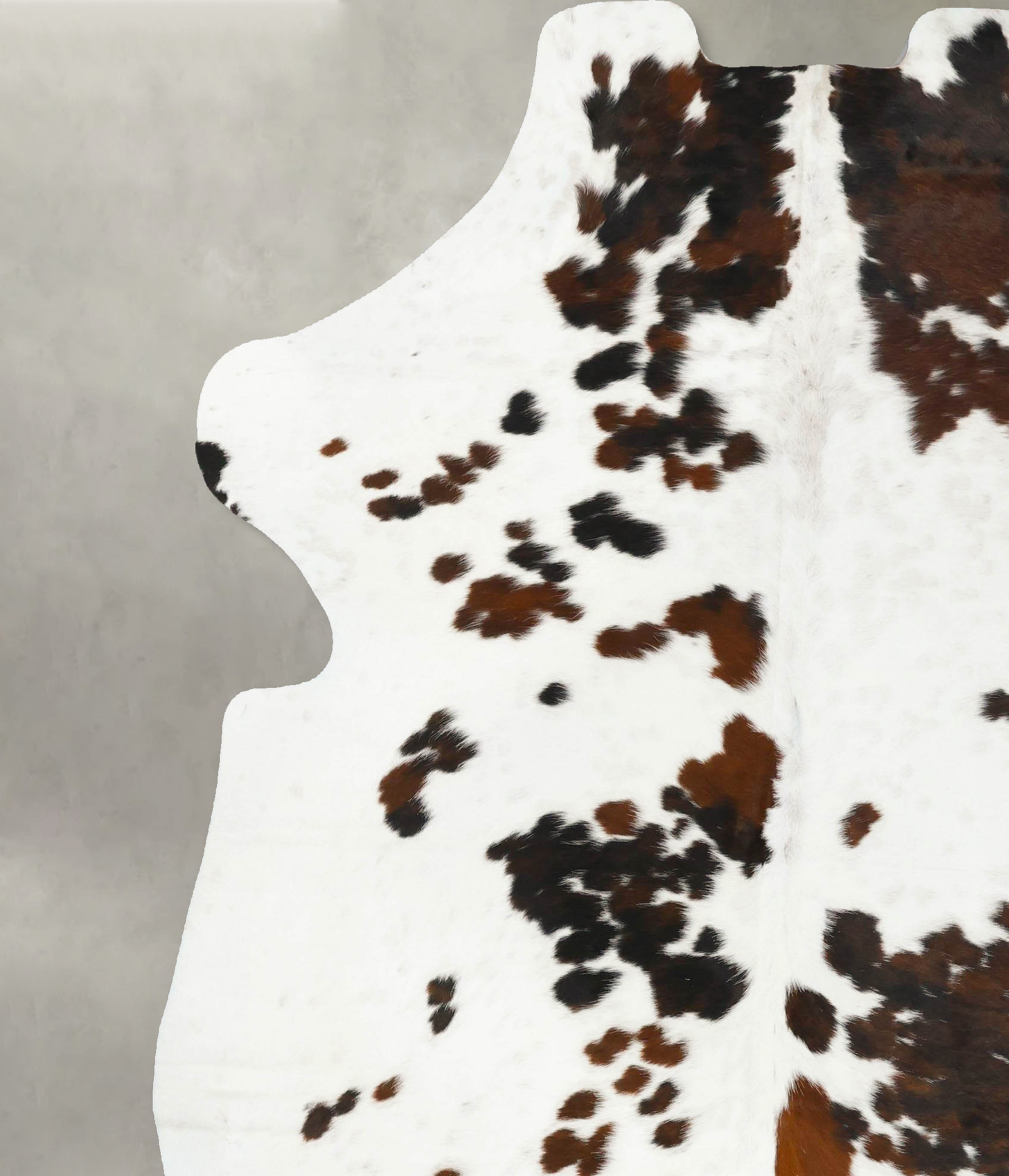 Tricolor Cowhide Rug #B23443