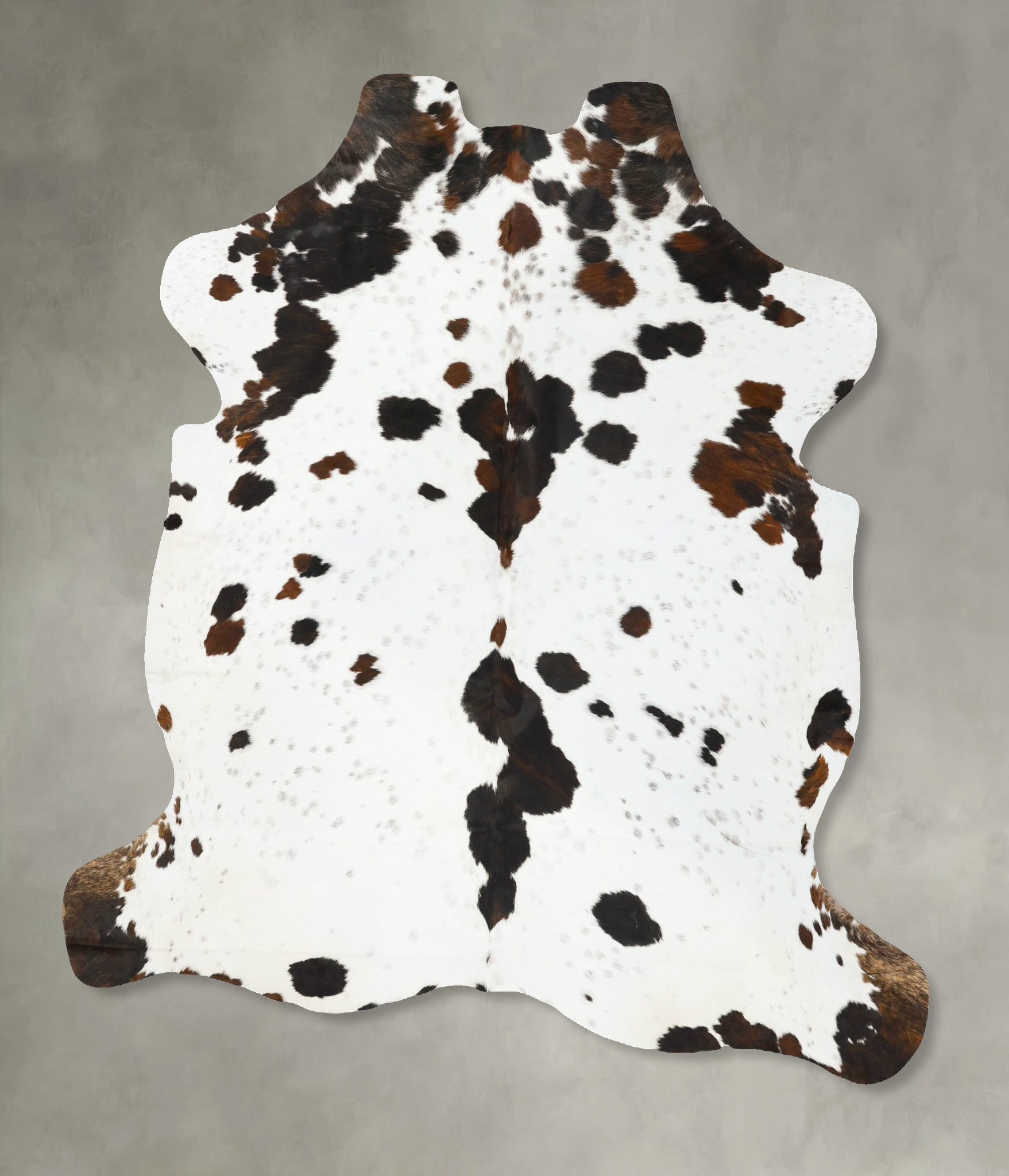 Tricolor Cowhide Rug #B23445