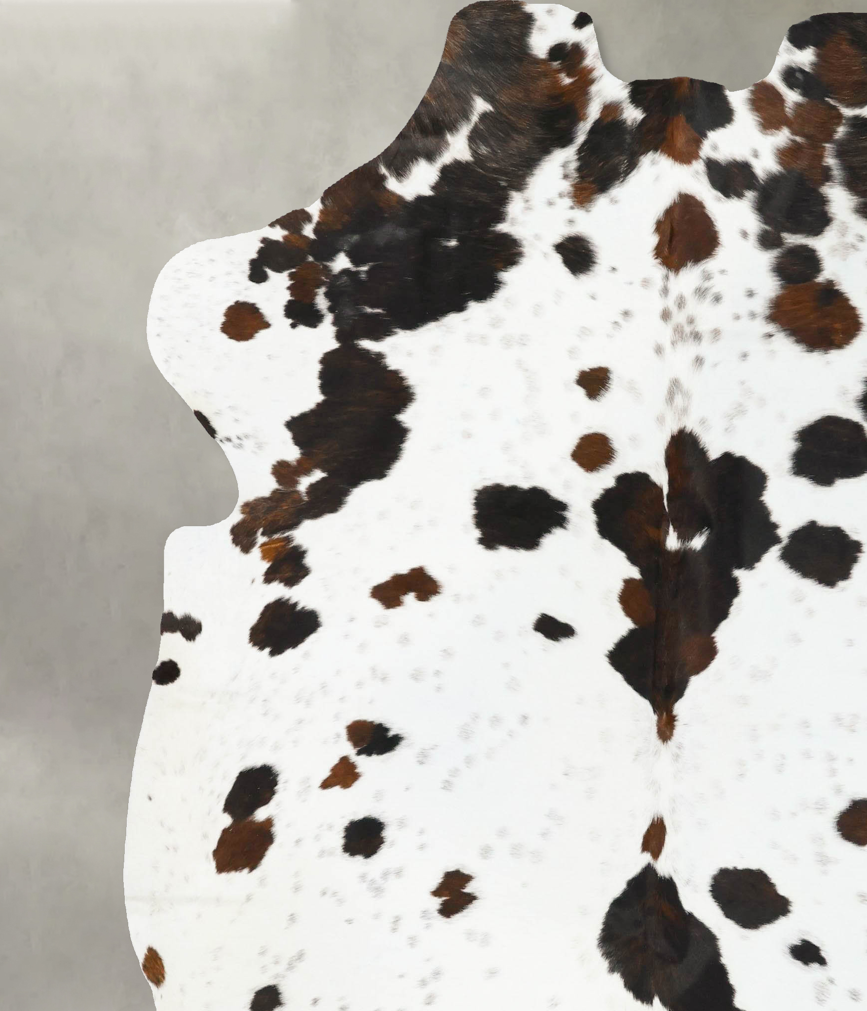 Tricolor Cowhide Rug #B23445