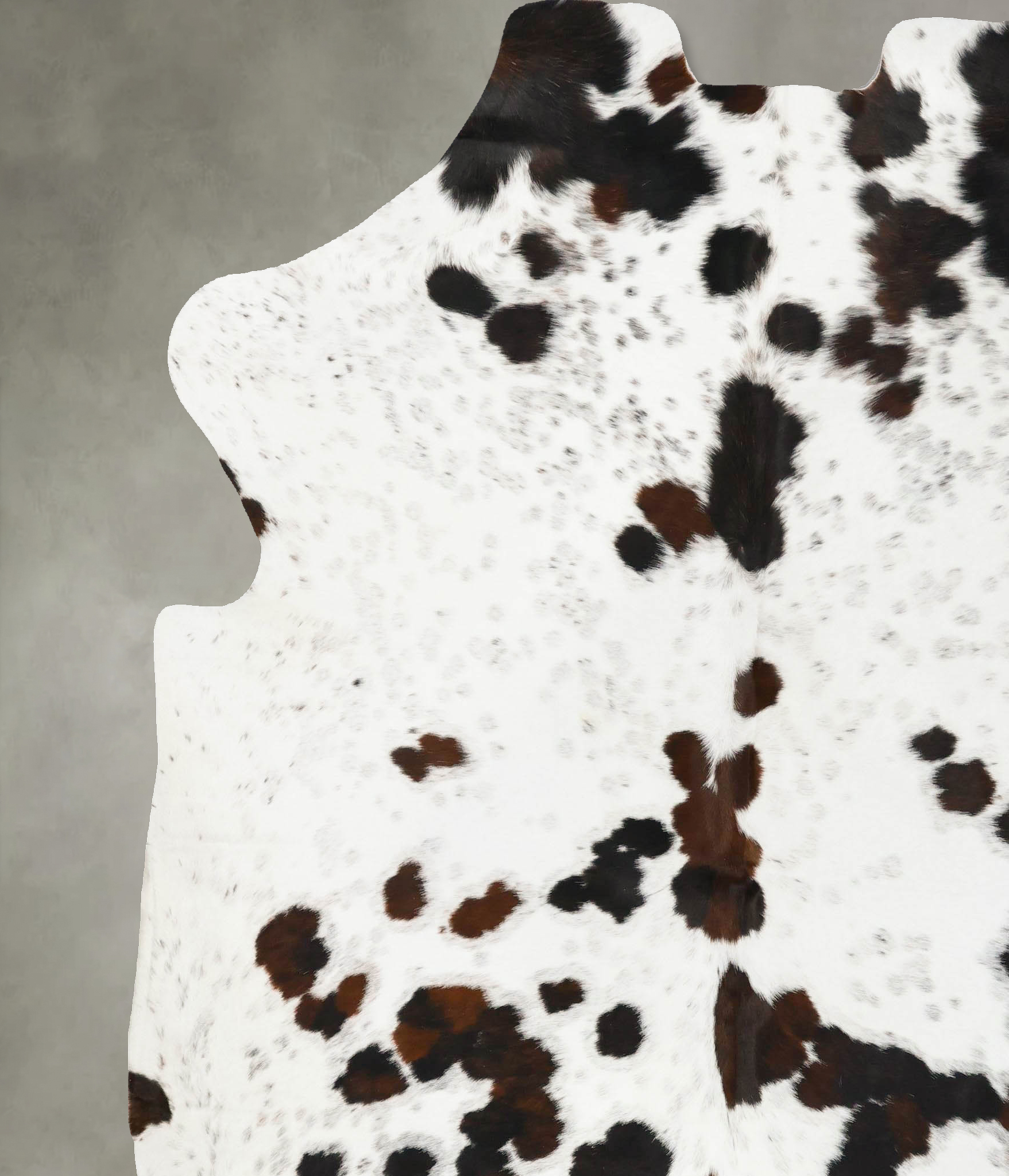 Tricolor Cowhide Rug #B23447