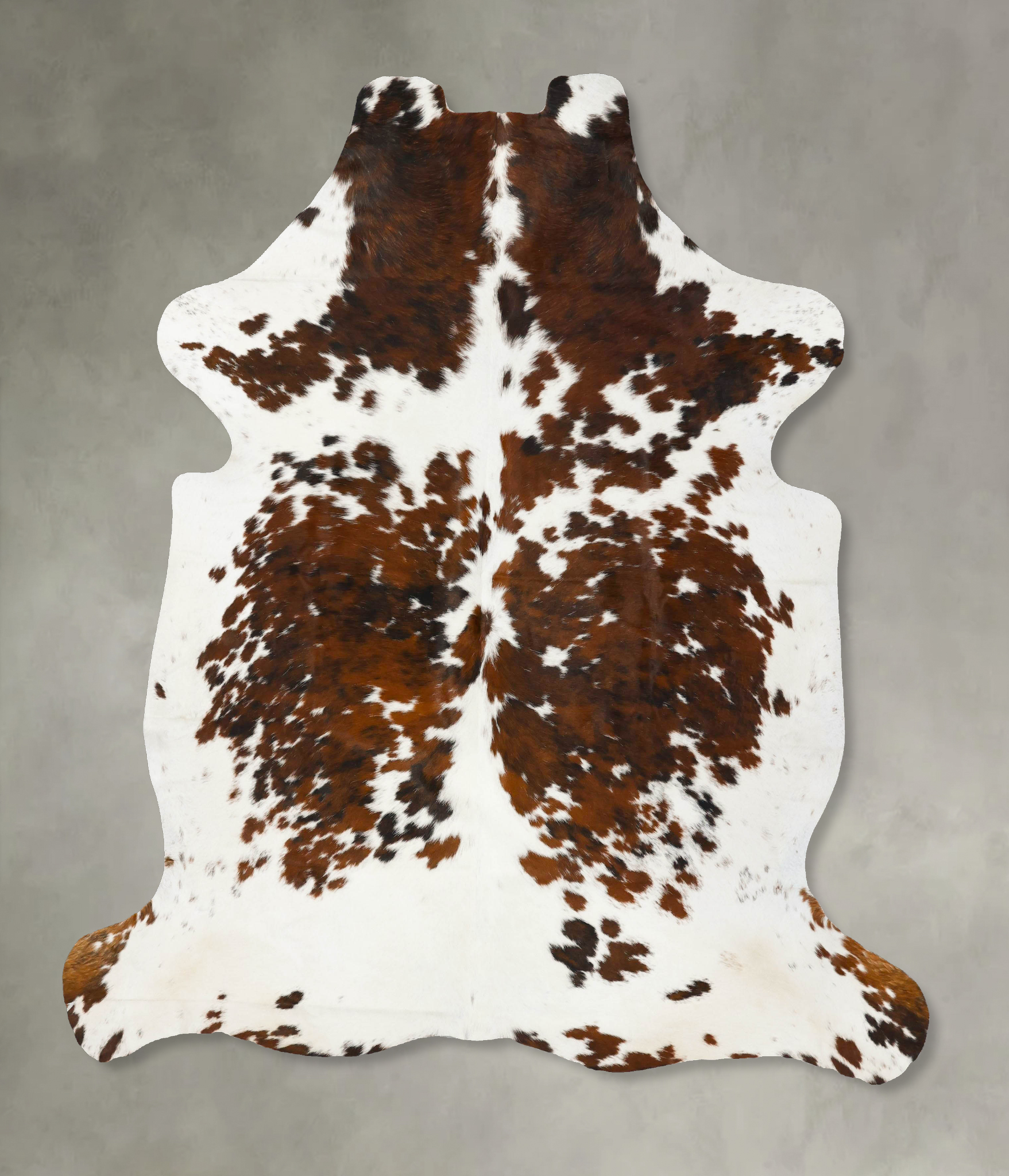 Tricolor Cowhide Rug #B23450
