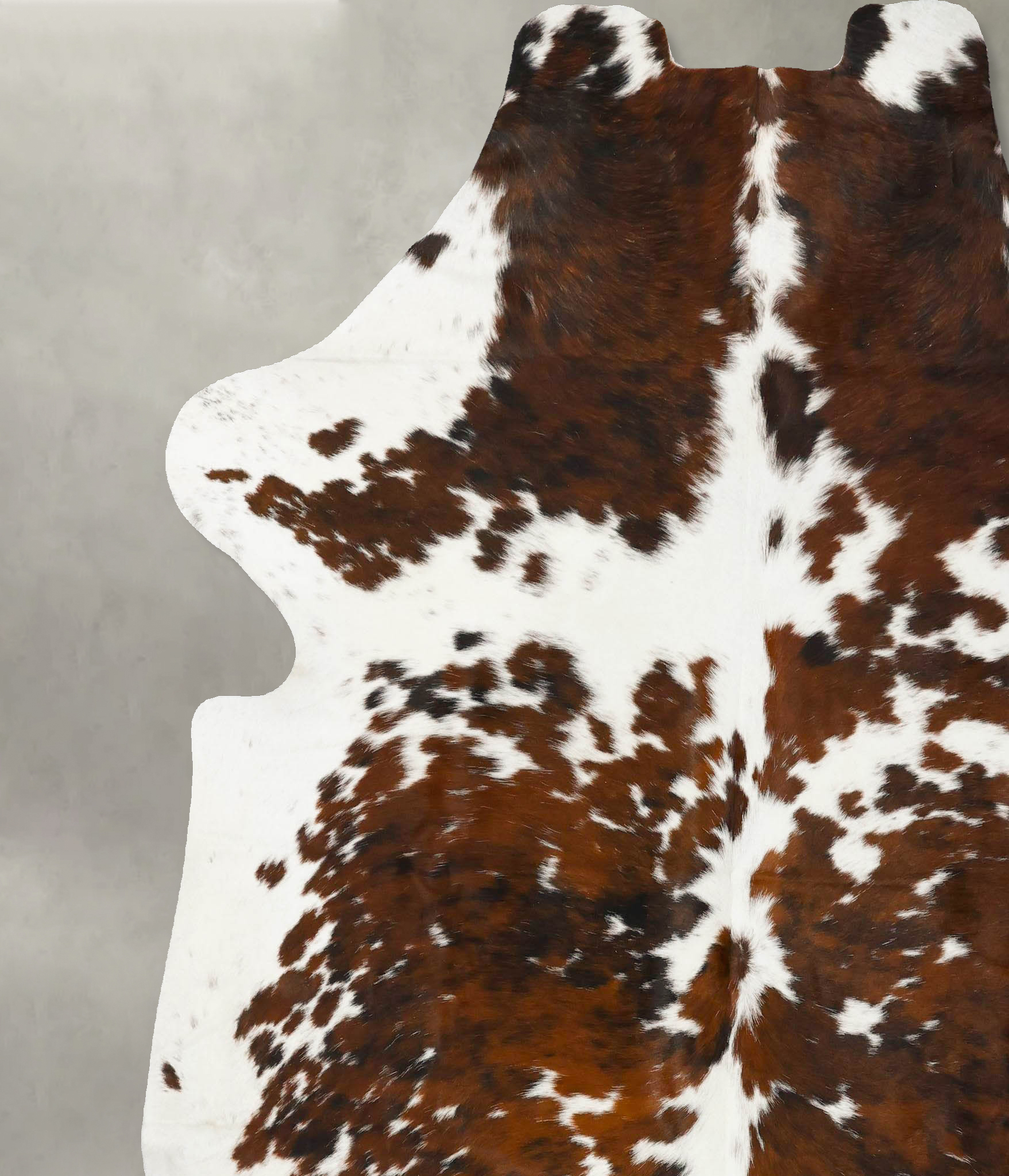 Tricolor Cowhide Rug #B23450