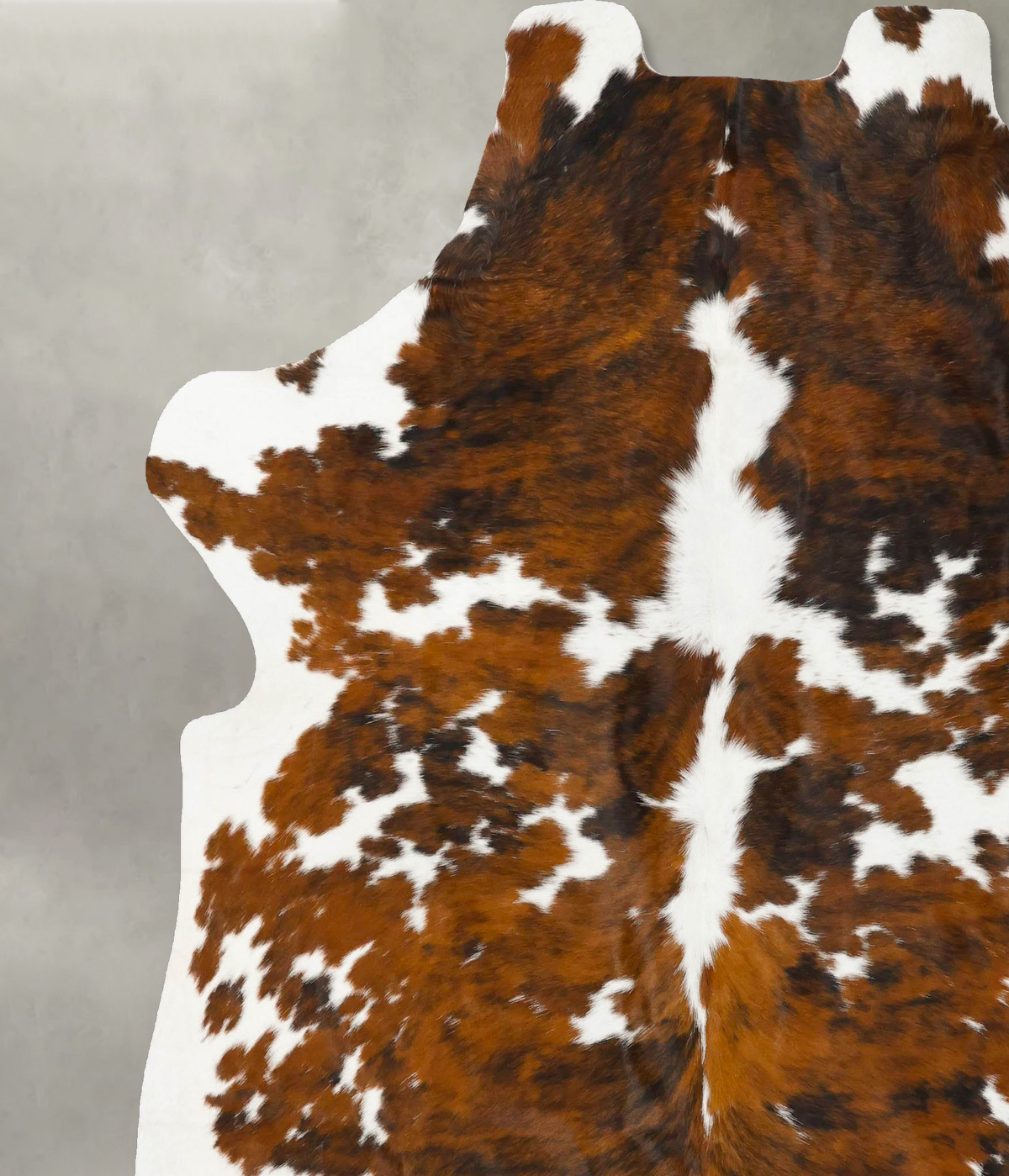 Tricolor XX-Large European Cowhide Rug 7'8"H x 6'10"W #B23451 by Hudson Hides
