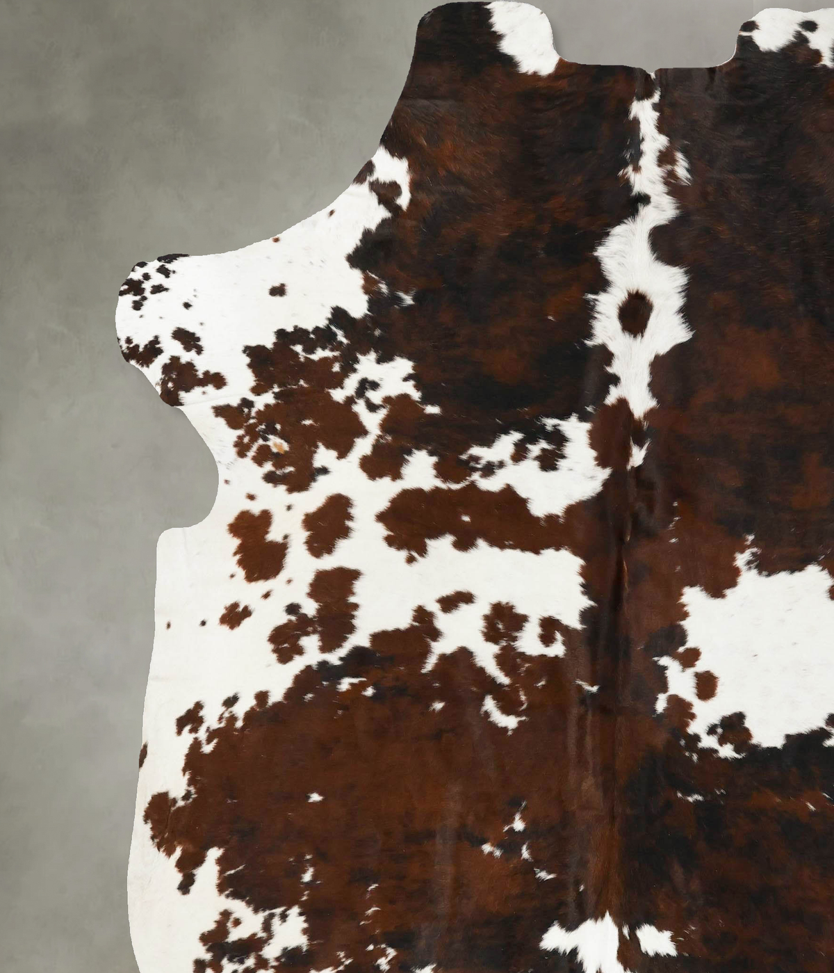 Tricolor XX-Large European Cowhide Rug 8'0"H x 6'11"W #B23452 by Hudson Hides
