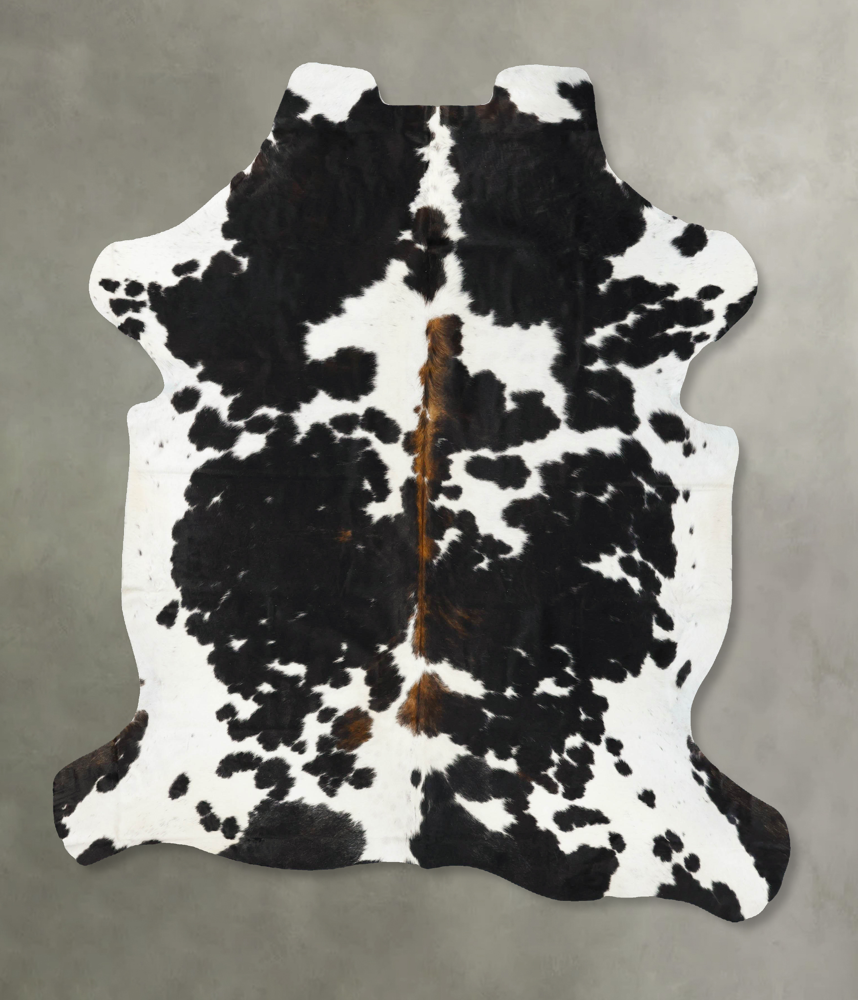 Tricolor Cowhide Rug #B23456
