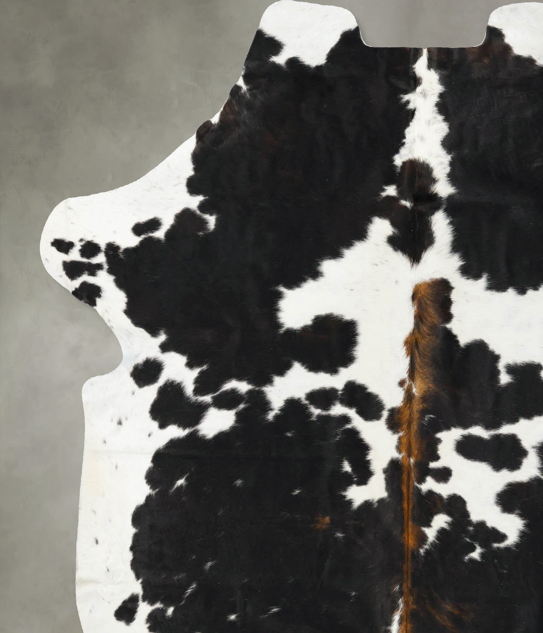 Tricolor Cowhide Rug #B23456