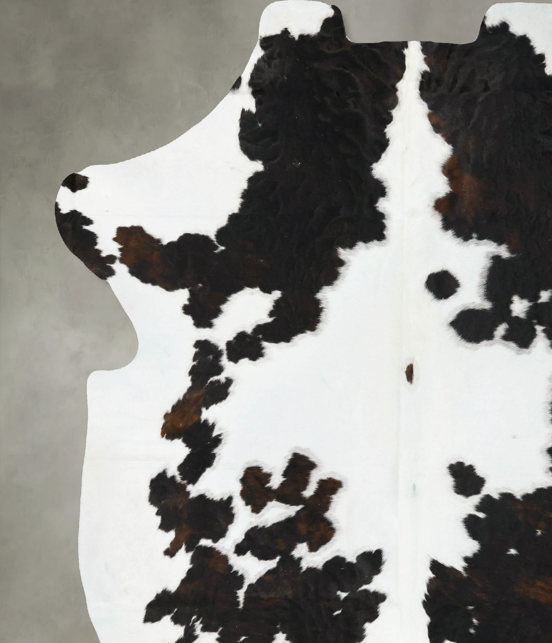 Tricolor Cowhide Rug #B23457