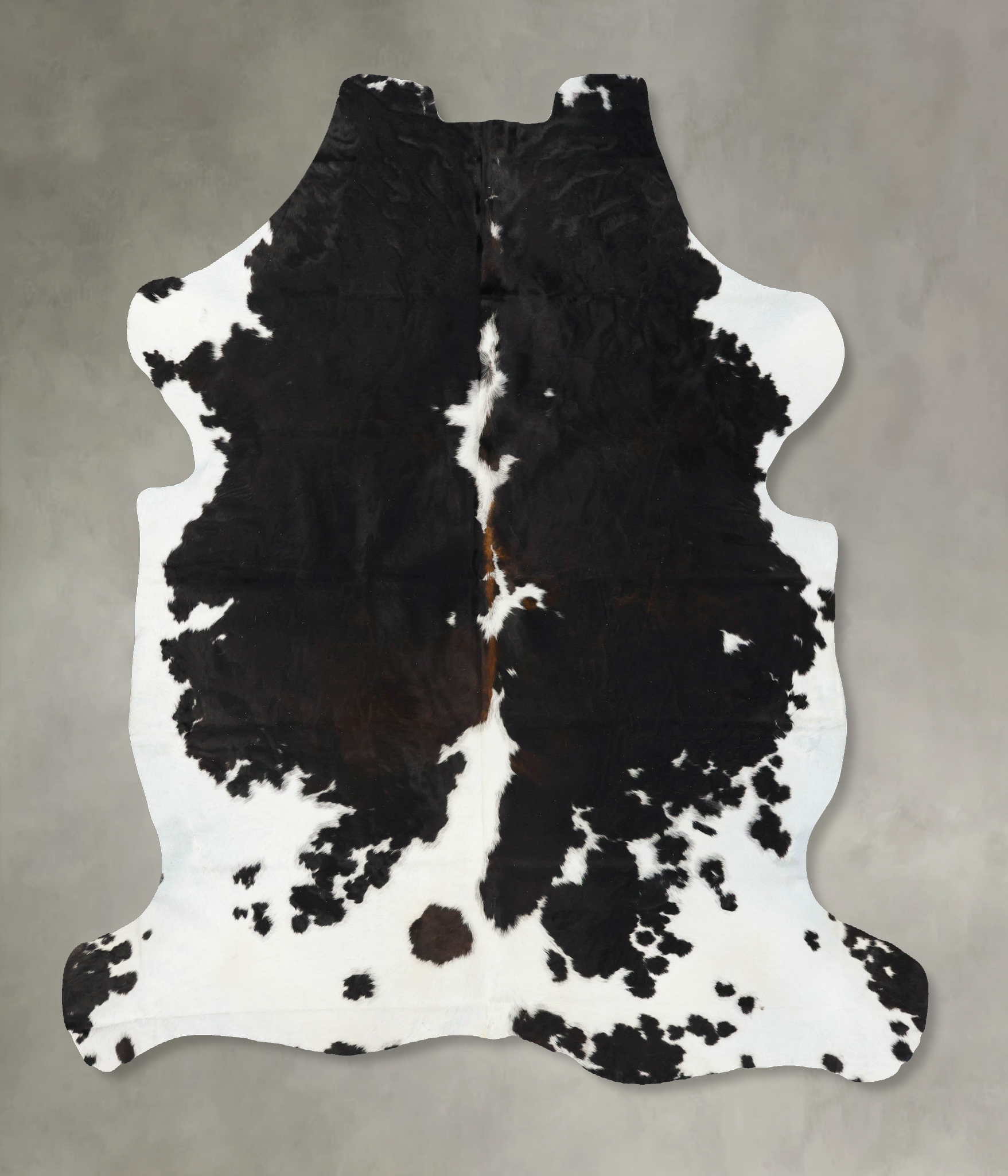 Tricolor Cowhide Rug #B23458