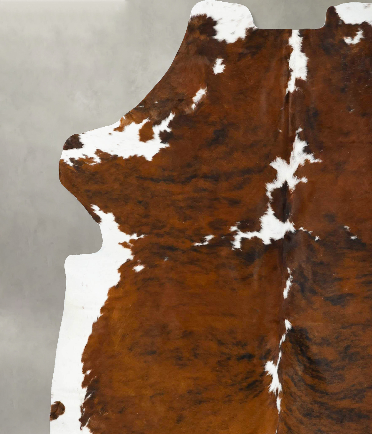 Tricolor XX-Large European Cowhide Rug 7'10"H x 7'0"W #B23459 by Hudson Hides