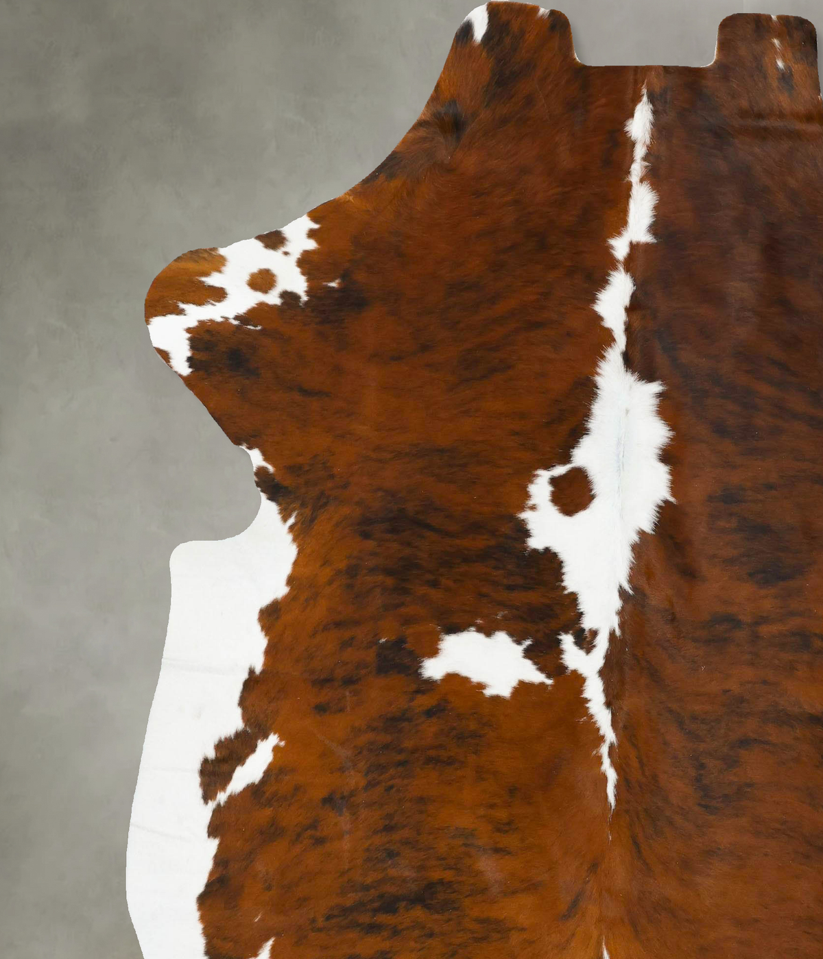 Tricolor XX-Large European Cowhide Rug 8'1"H x 6'7"W #B23460 by Hudson Hides