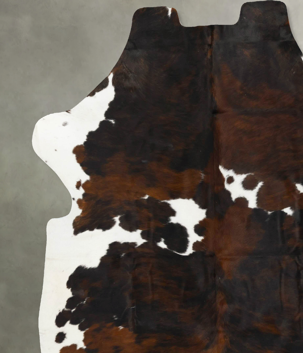 Tricolor XX-Large European Cowhide Rug 7'11"H x 7'3"W #B23470 by Hudson Hides