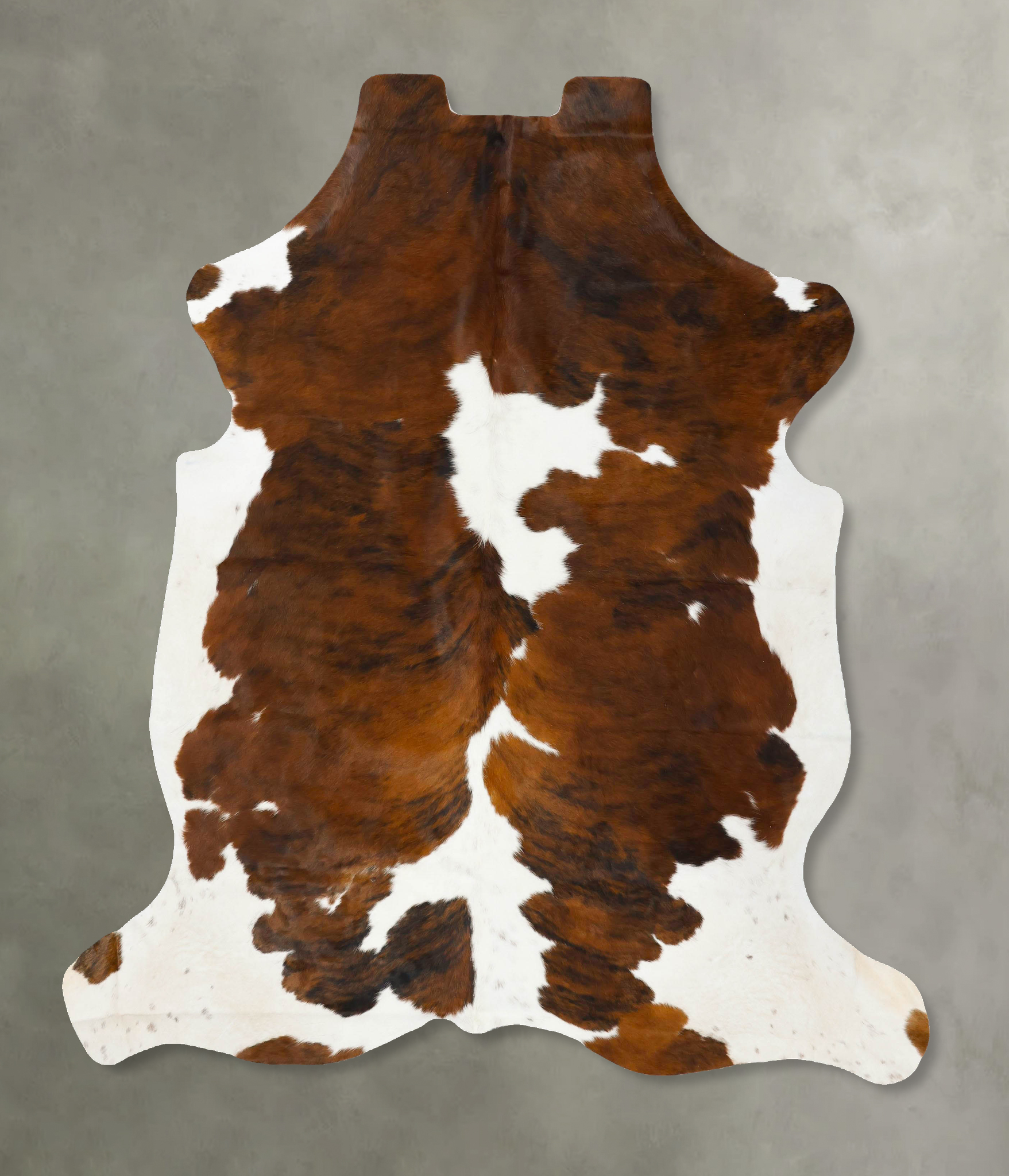 Tricolor Cowhide Rug #B23474