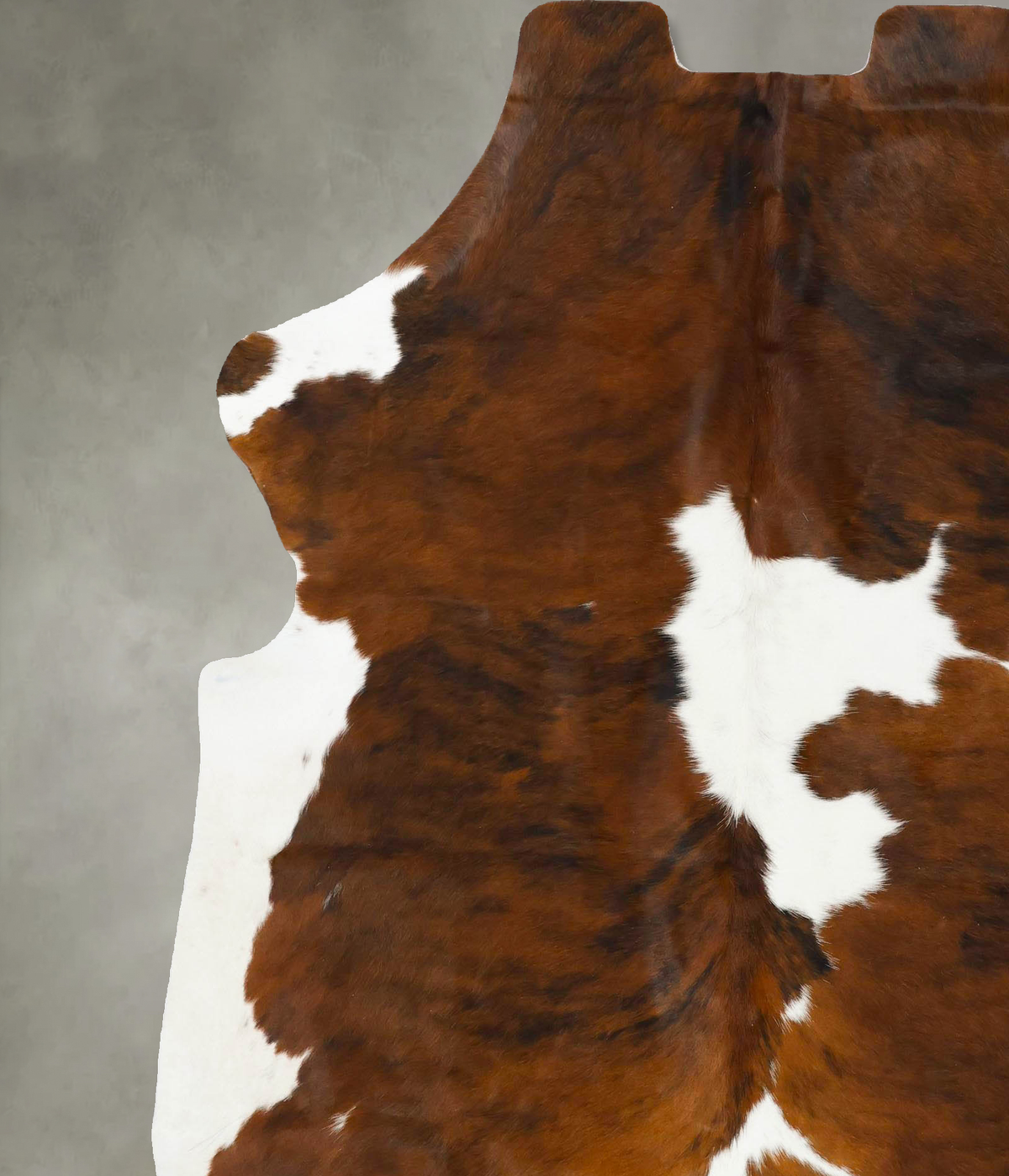 Tricolor X-Large European Cowhide Rug 7'5"H x 6'4"W #B23474 by Hudson Hides