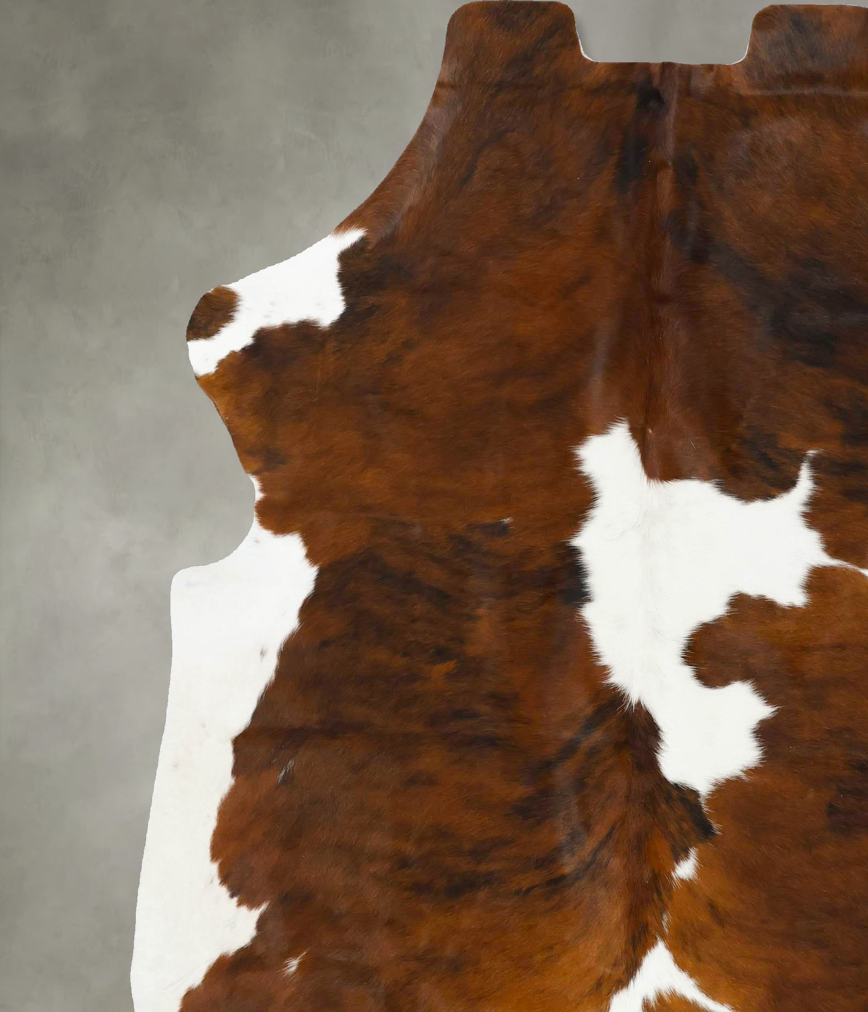 Tricolor Cowhide Rug #B23474