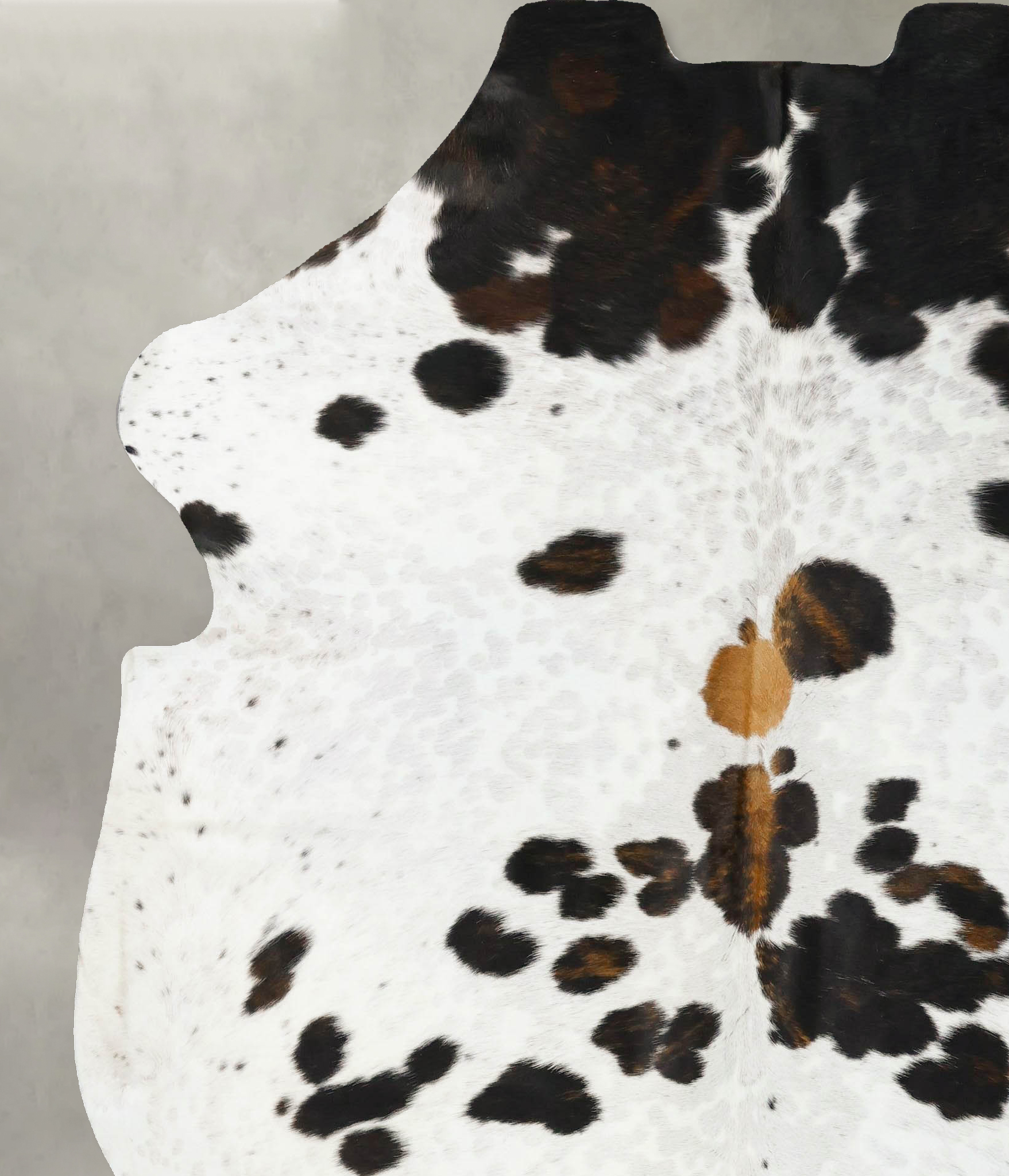 Tricolor Cowhide Rug #B23476