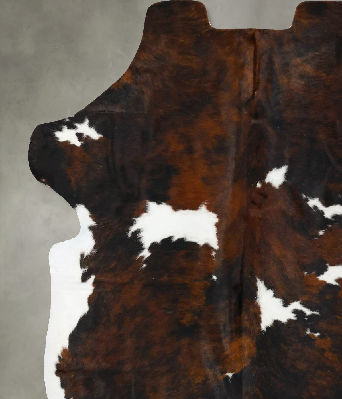 Tricolor XX-Large European Cowhide Rug 7'10"H x 6'8"W #B23478 by Hudson Hides