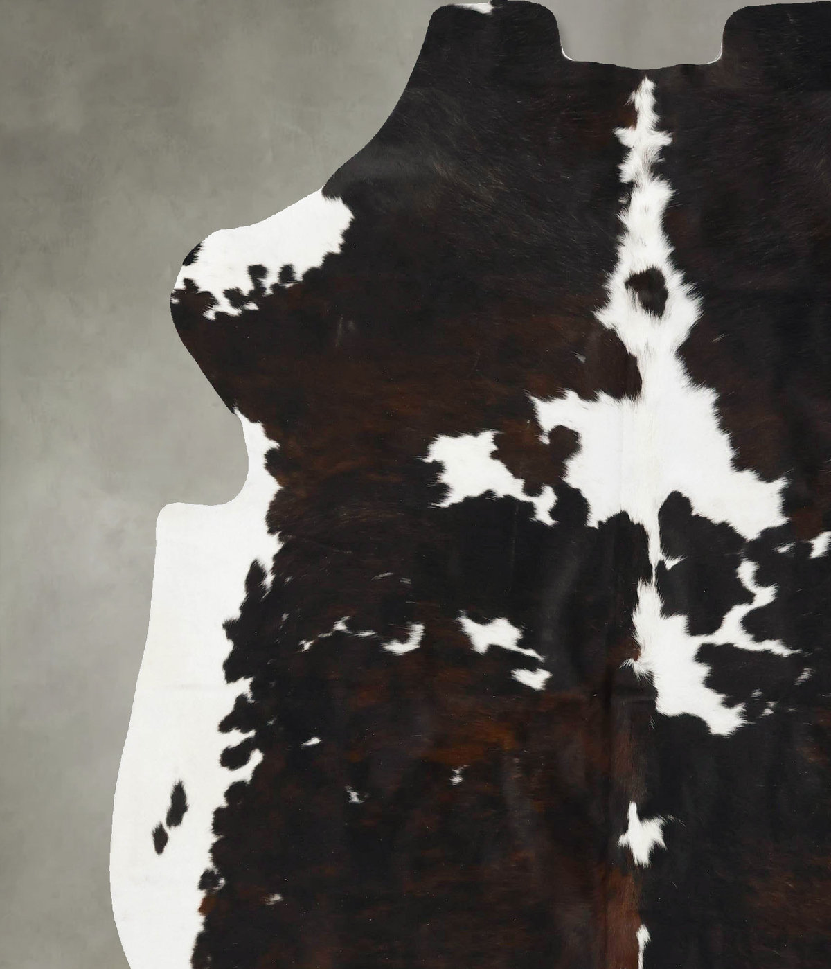 Tricolor XX-Large European Cowhide Rug 7'9"H x 6'8"W #B23479 by Hudson Hides