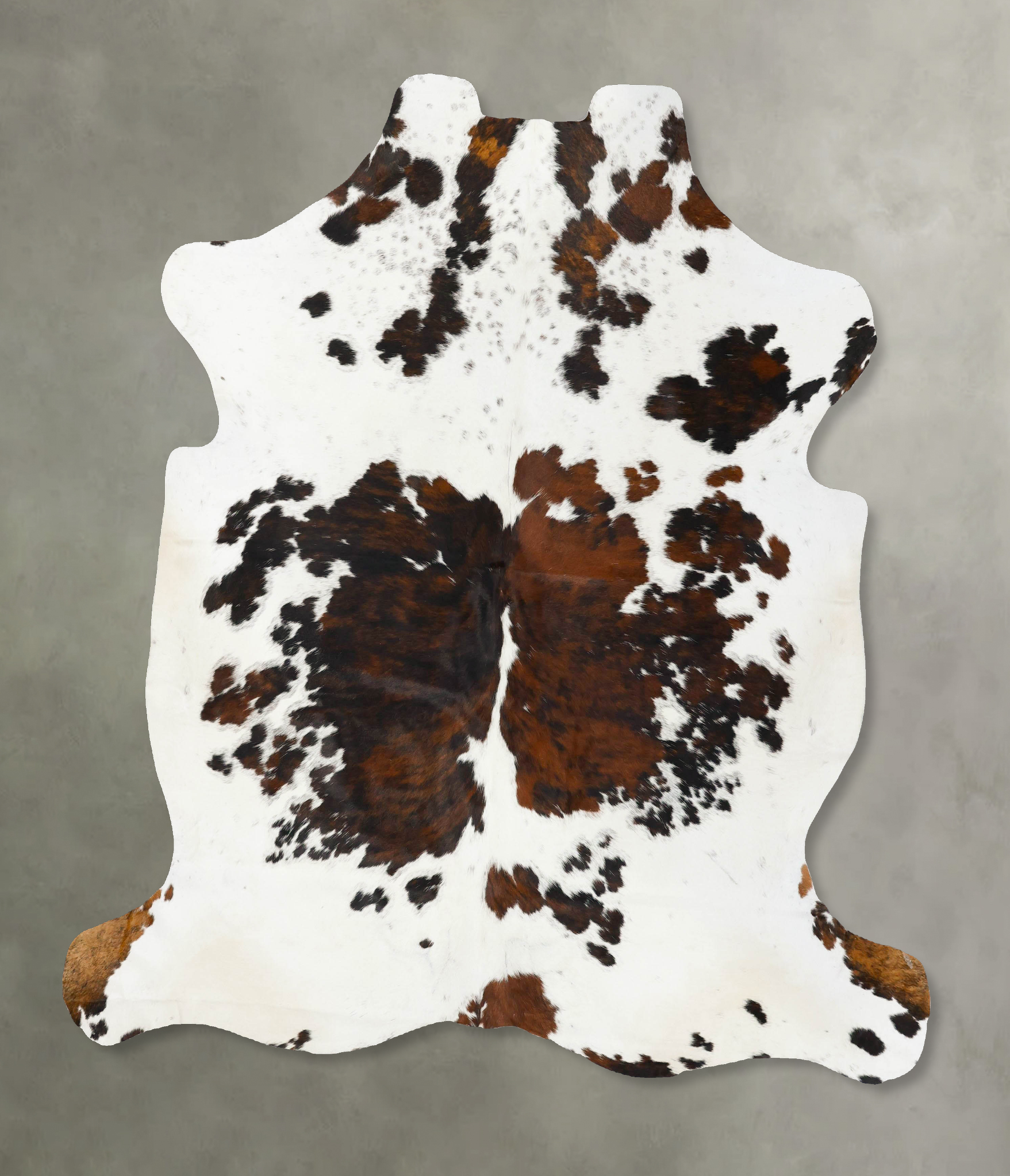 Tricolor Cowhide Rug #B23480