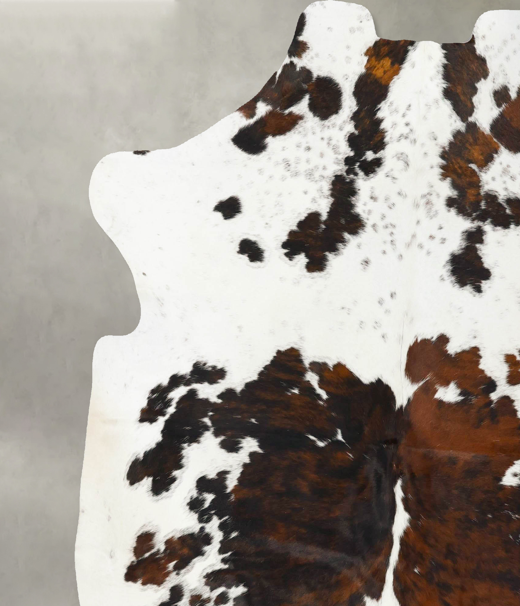 Tricolor Cowhide Rug #B23480