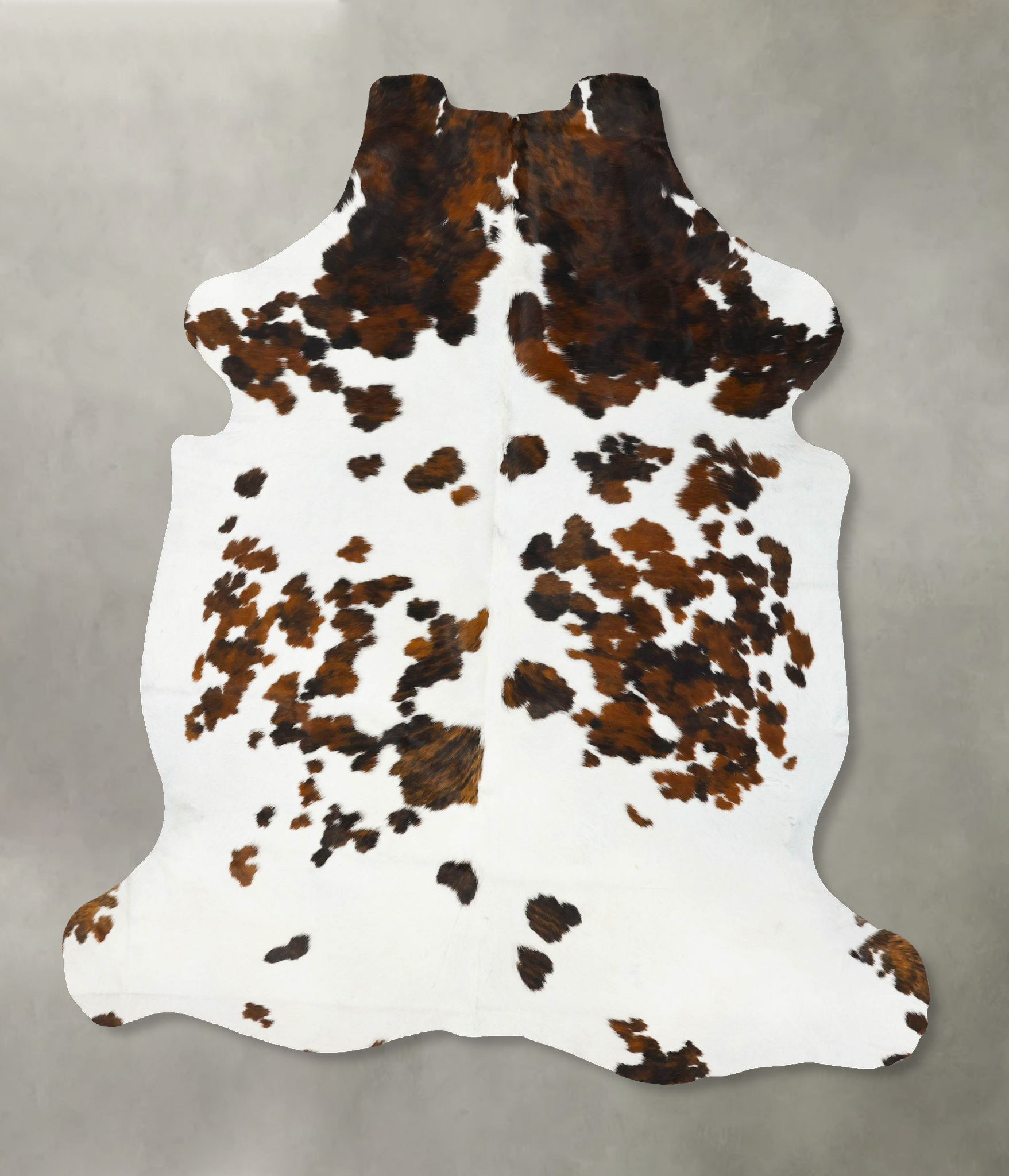 Tricolor Cowhide Rug #B23483