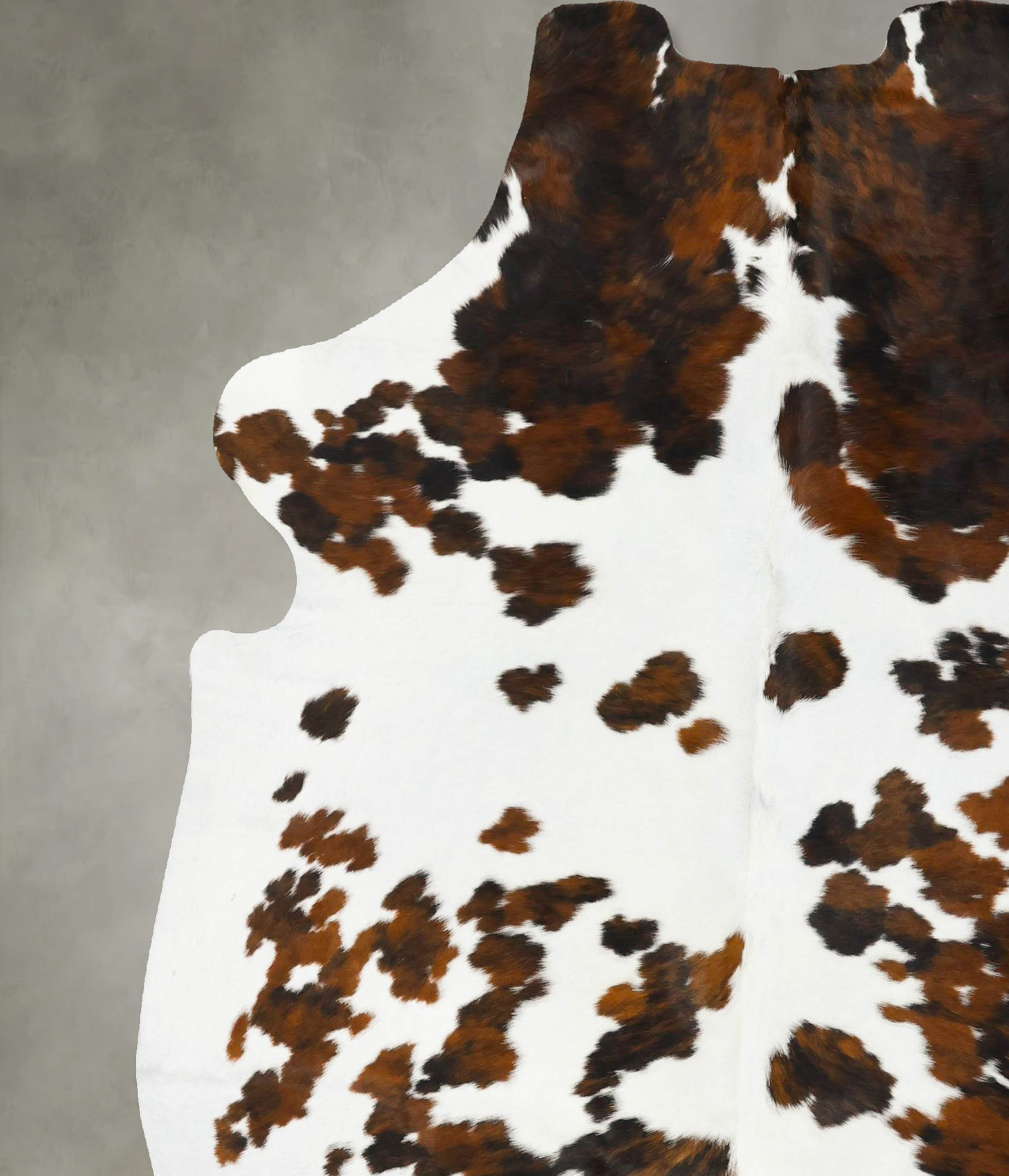 Tricolor Cowhide Rug #B23483
