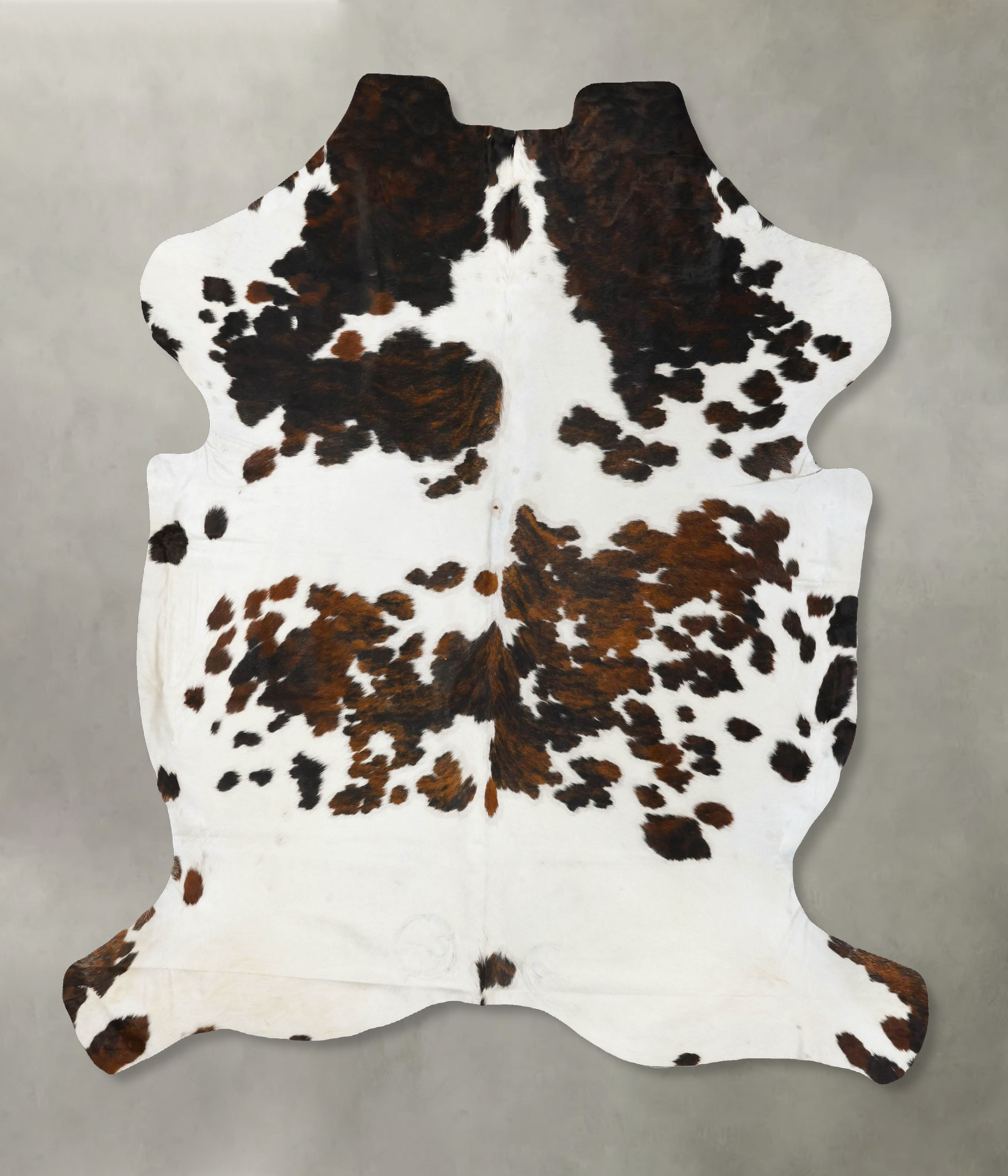 Tricolor Cowhide Rug #B23485