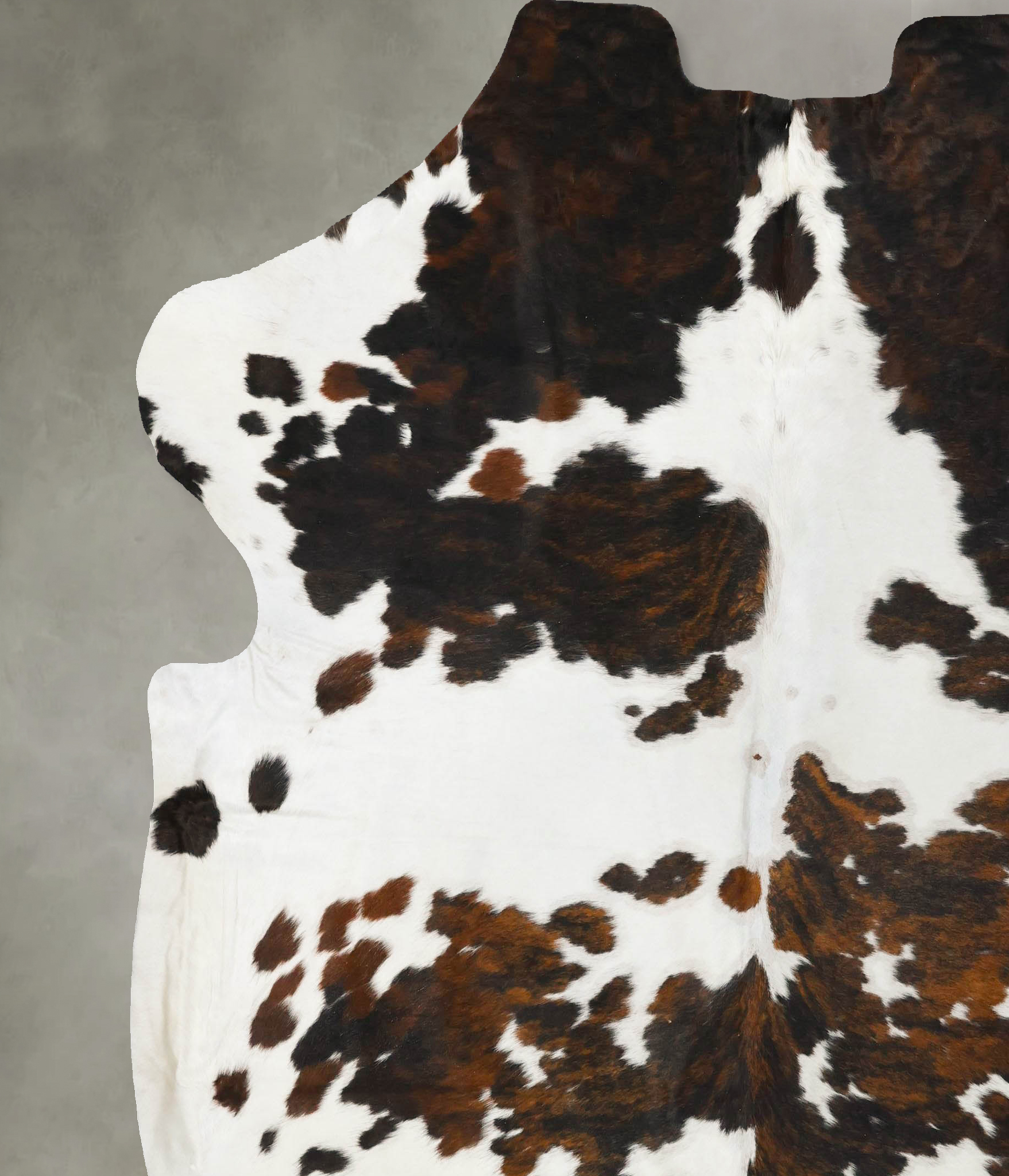 Tricolor Cowhide Rug #B23485