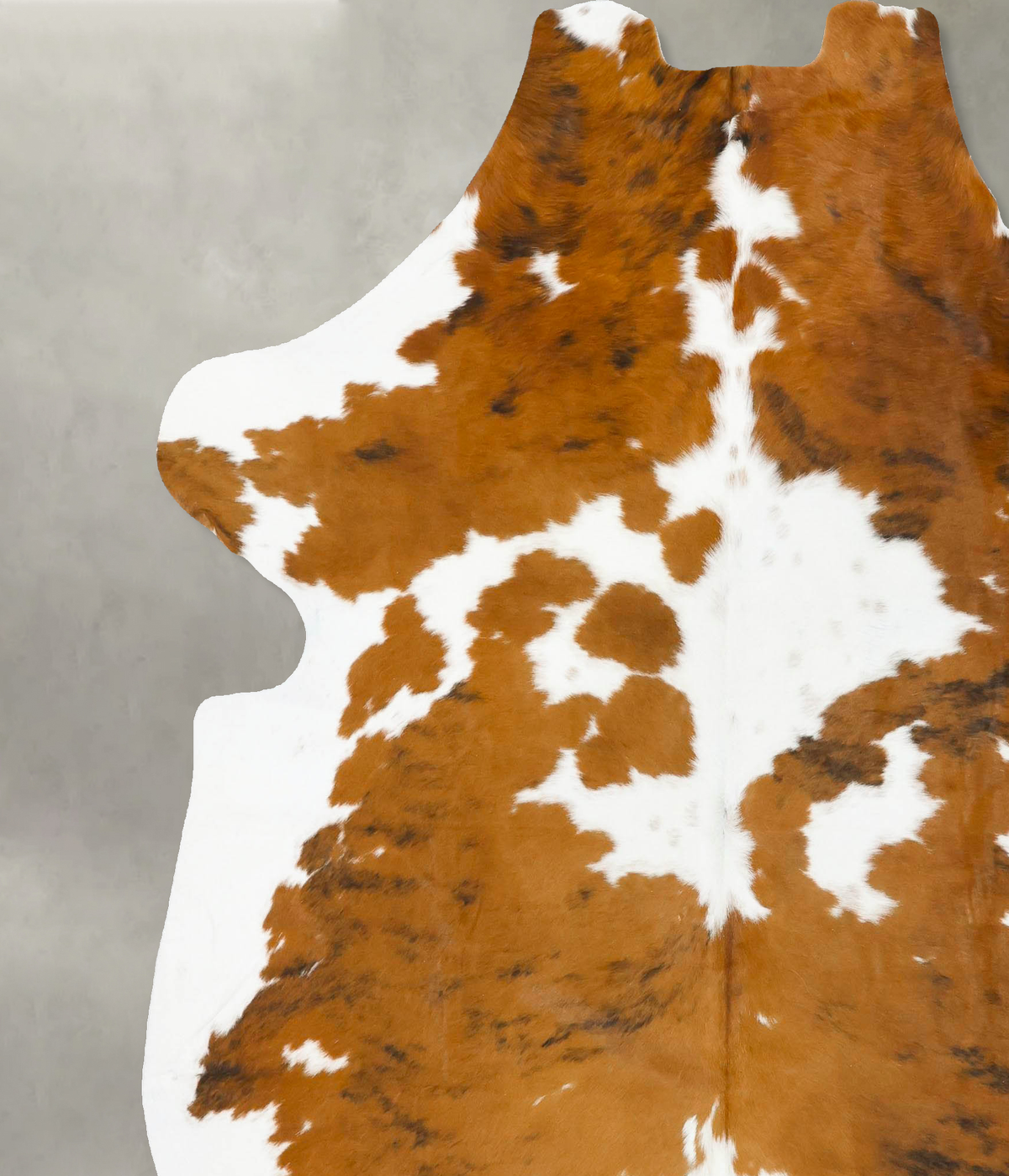 Tricolor XX-Large European Cowhide Rug 7'9"H x 6'9"W #B23487 by Hudson Hides