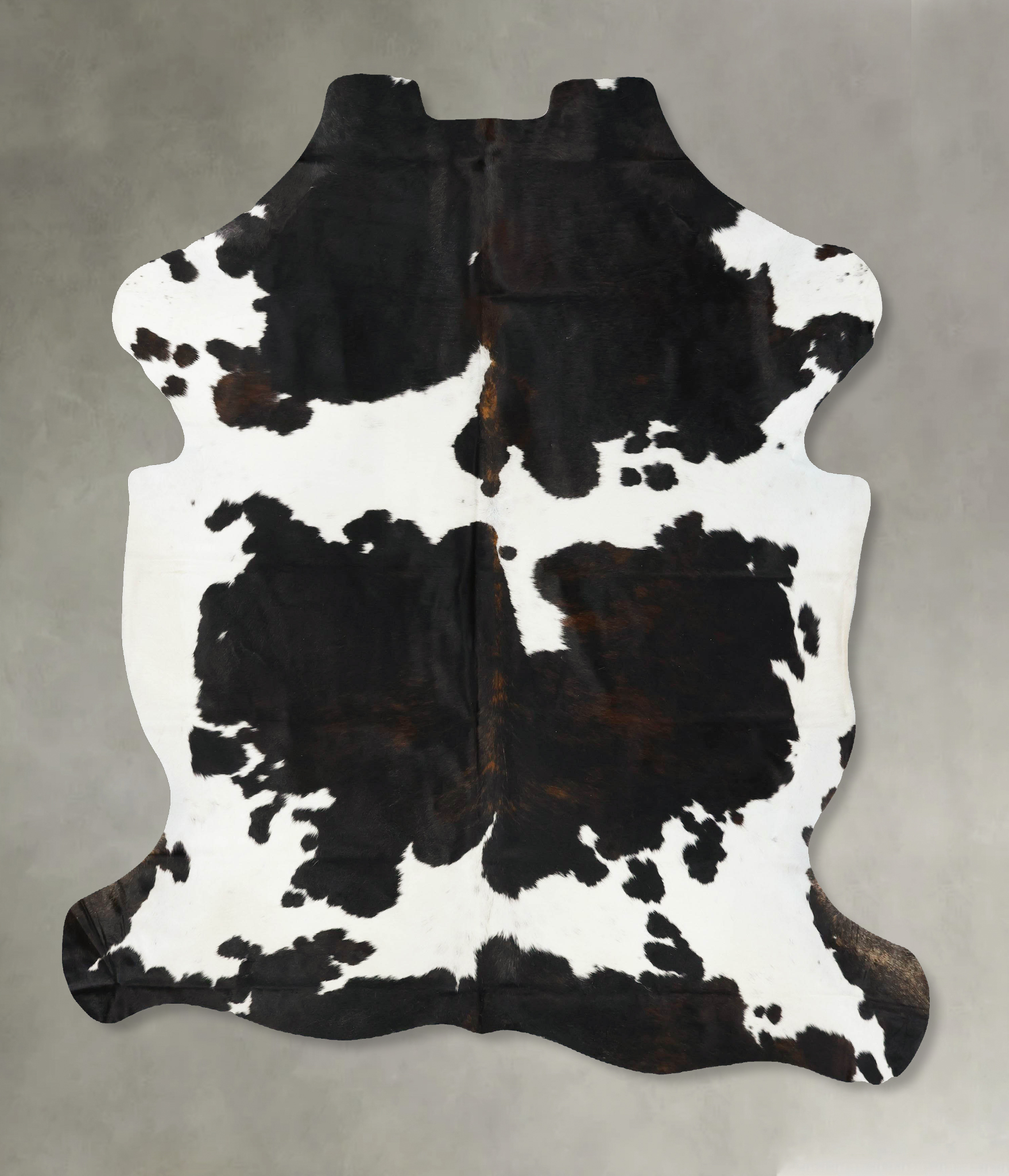 Tricolor Cowhide Rug #B23489