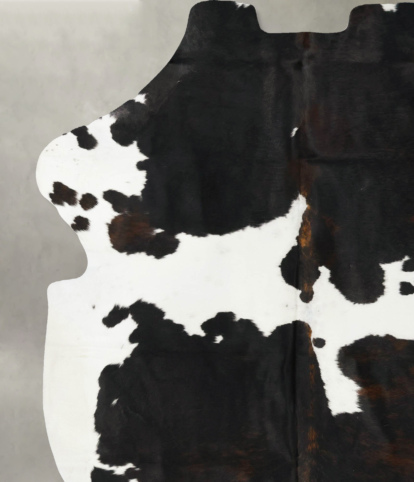 Tricolor Cowhide Rug #B23489