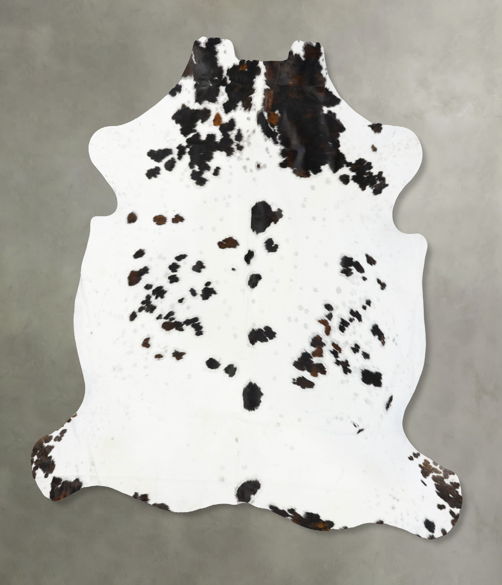 Tricolor Cowhide Rug #B23490