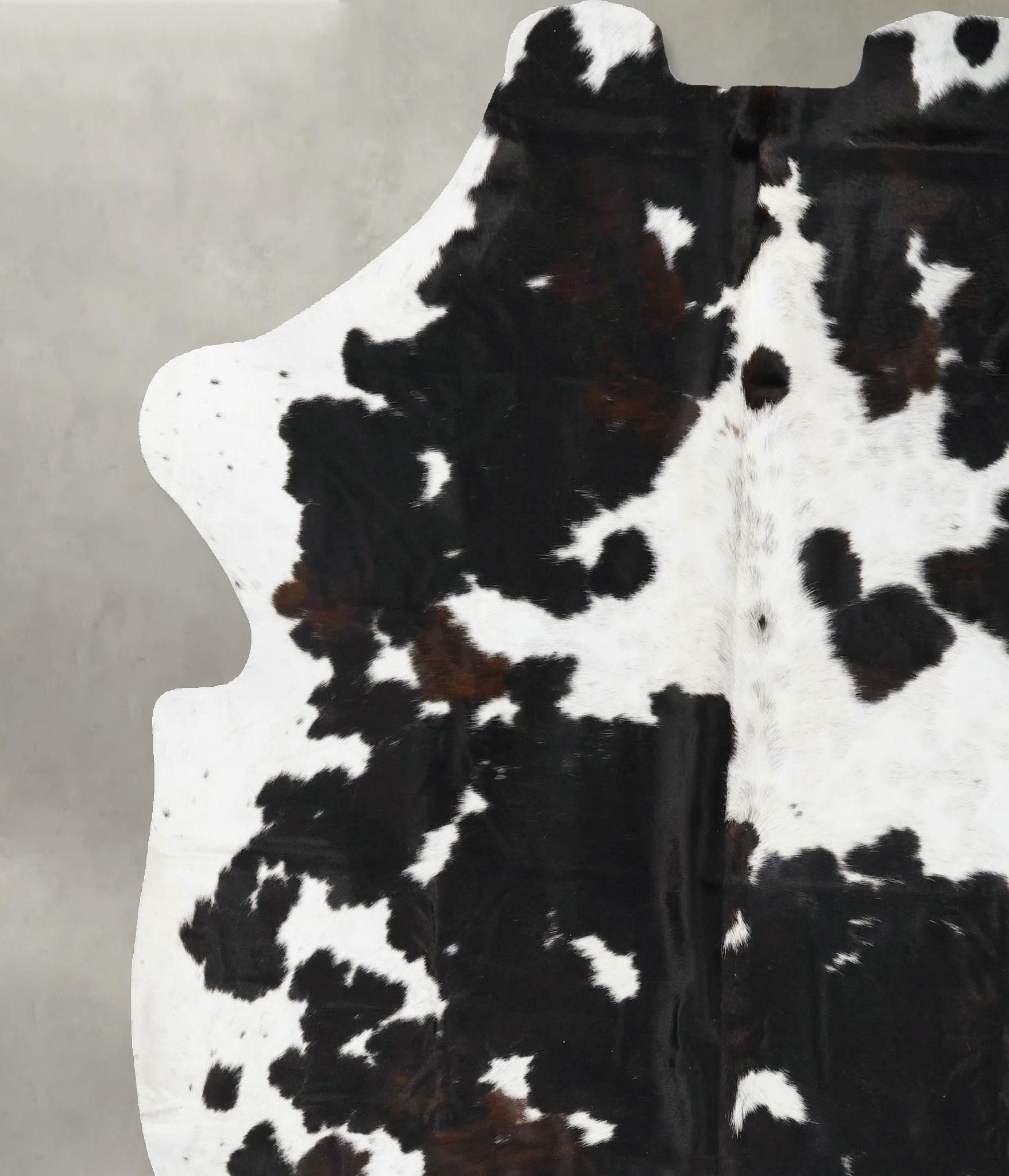 Tricolor Cowhide Rug #B23492