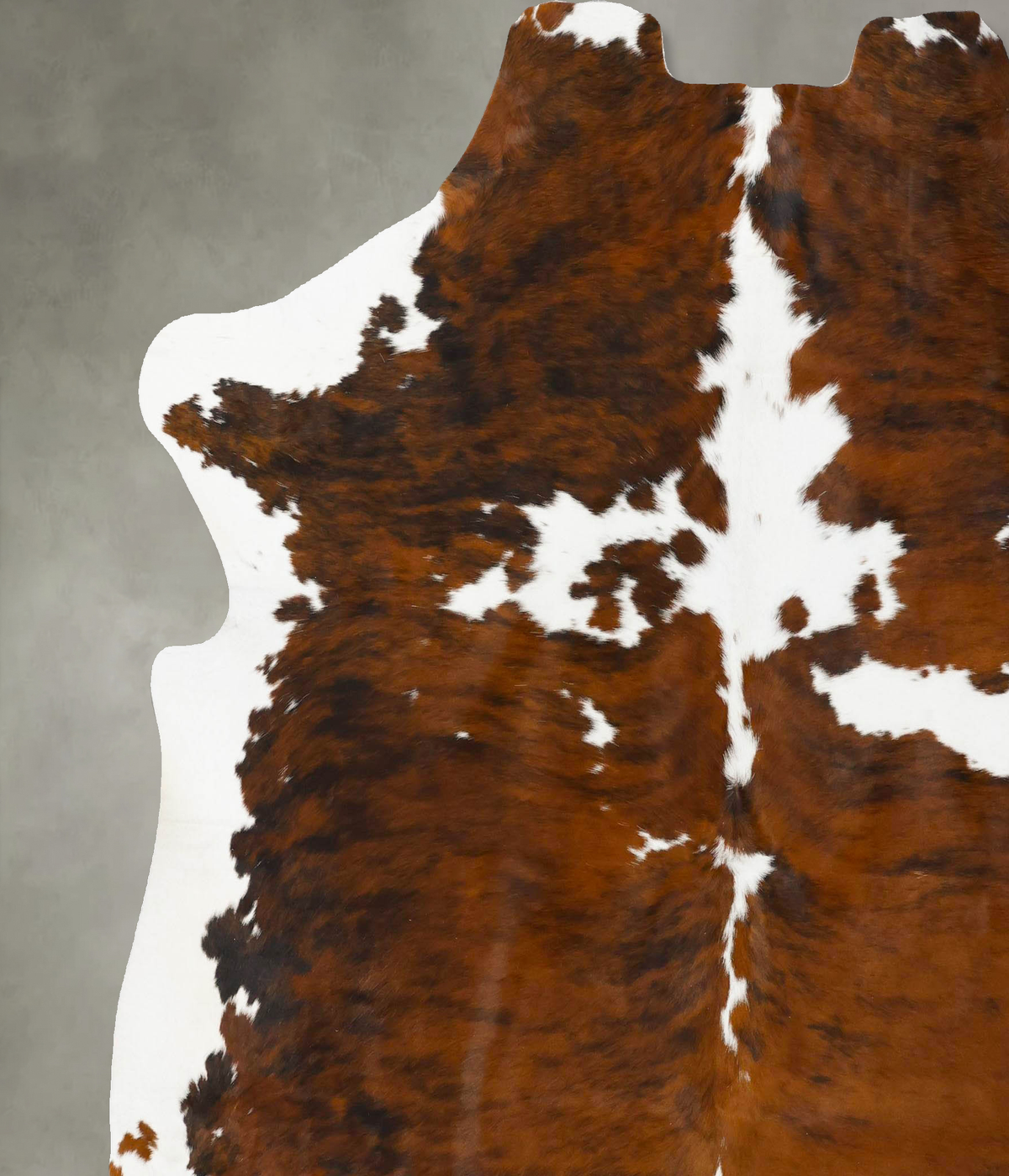 Tricolor XX-Large European Cowhide Rug 7'9"H x 7'0"W #B23496 by Hudson Hides