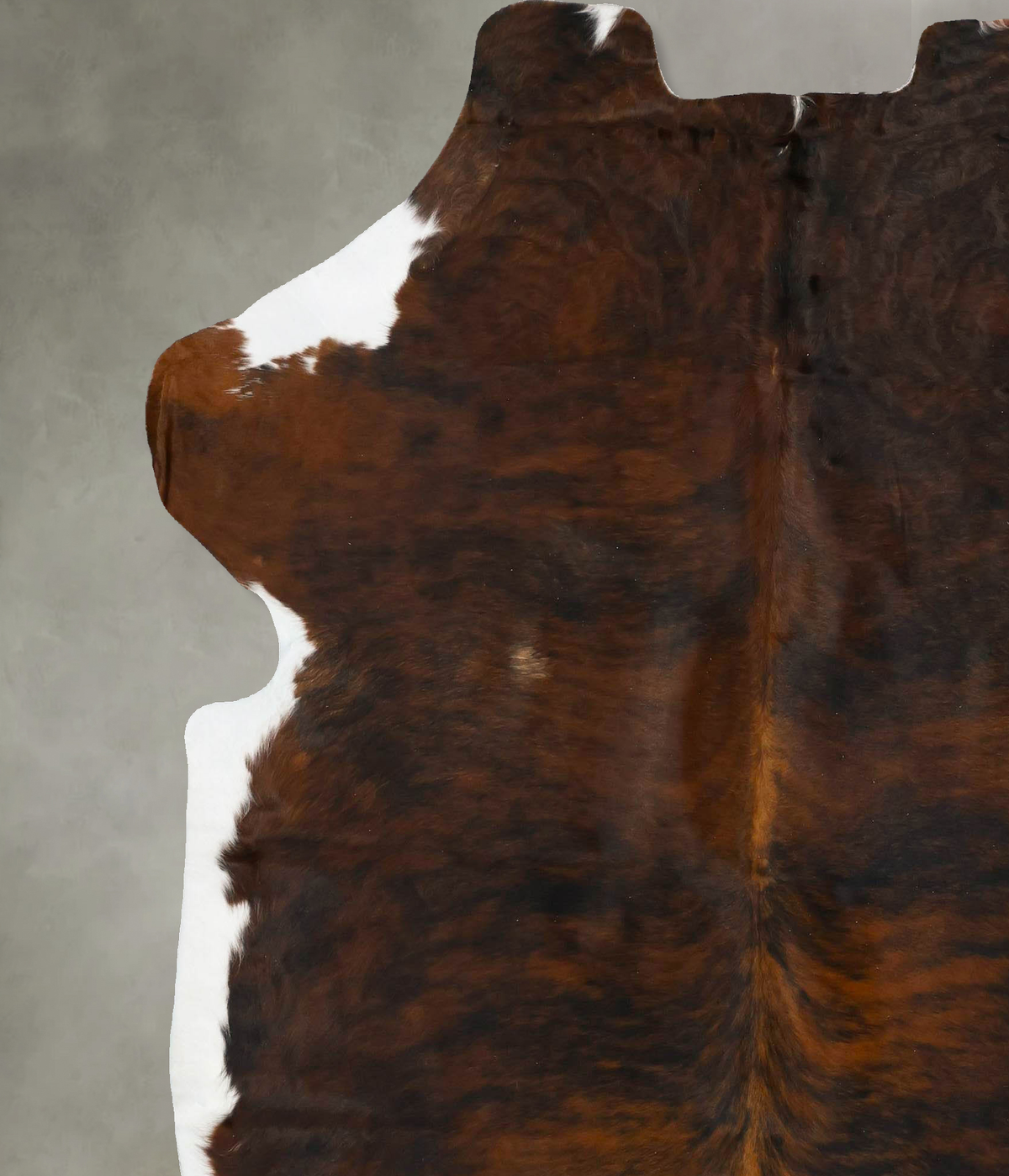 Tricolor X-Large European Cowhide Rug 7'6"H x 6'7"W #B23505 by Hudson Hides
