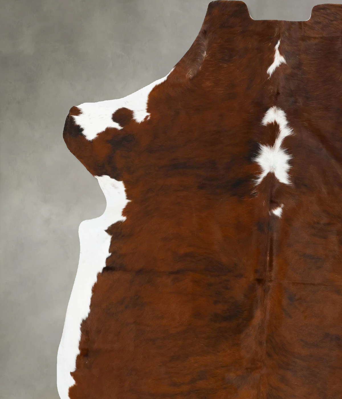 Tricolor XX-Large European Cowhide Rug 7'10"H x 6'9"W #B23506 by Hudson Hides