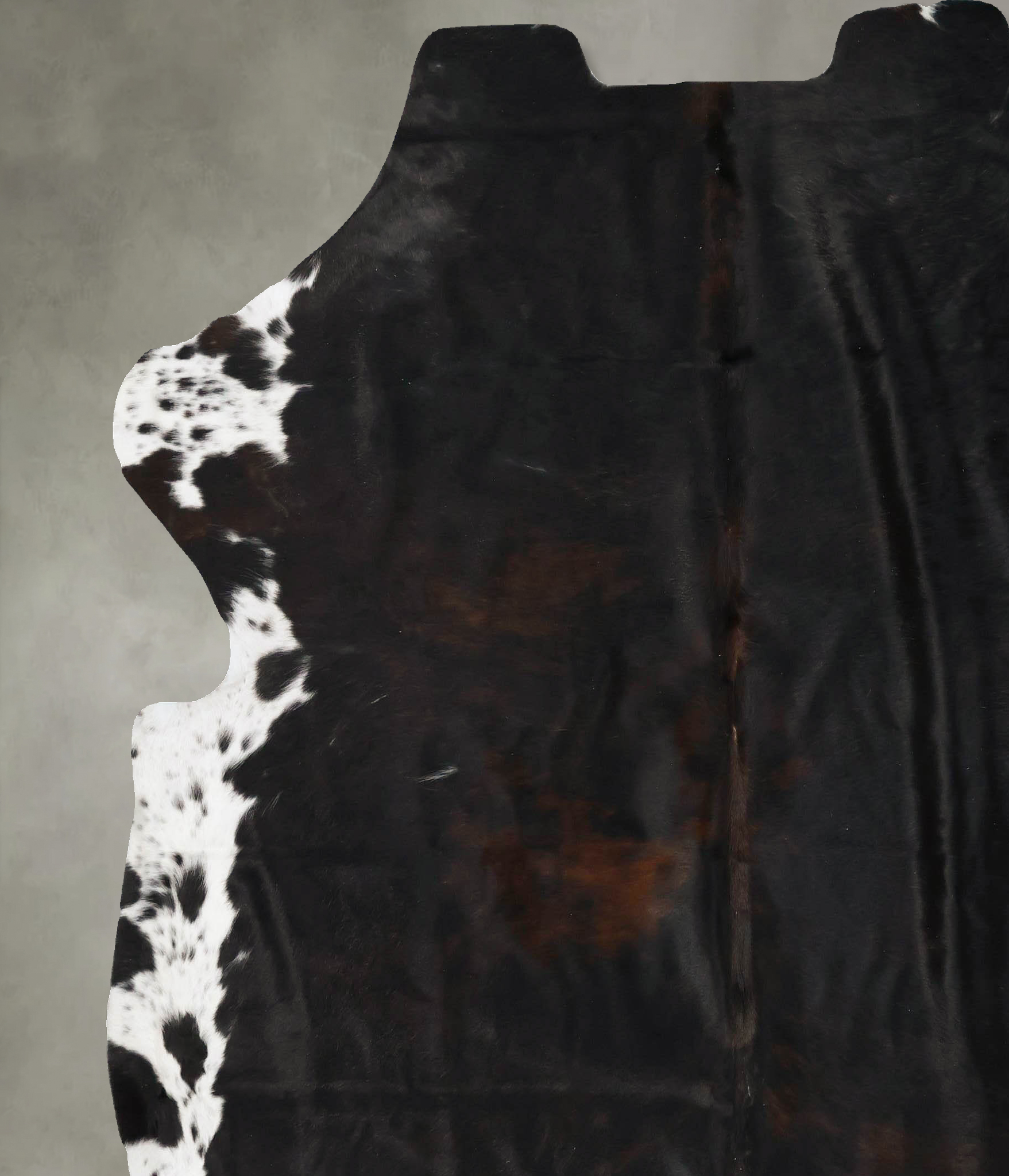 Tricolor Cowhide Rug #B23507