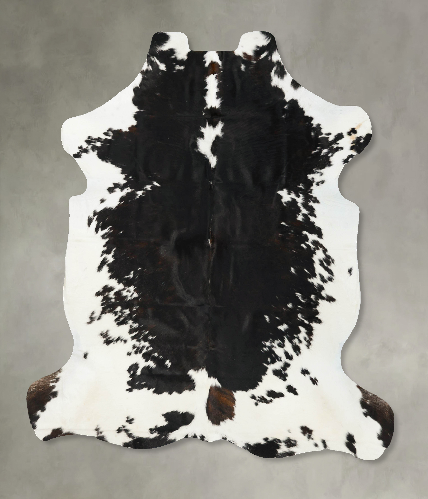 Tricolor Cowhide Rug #B23509