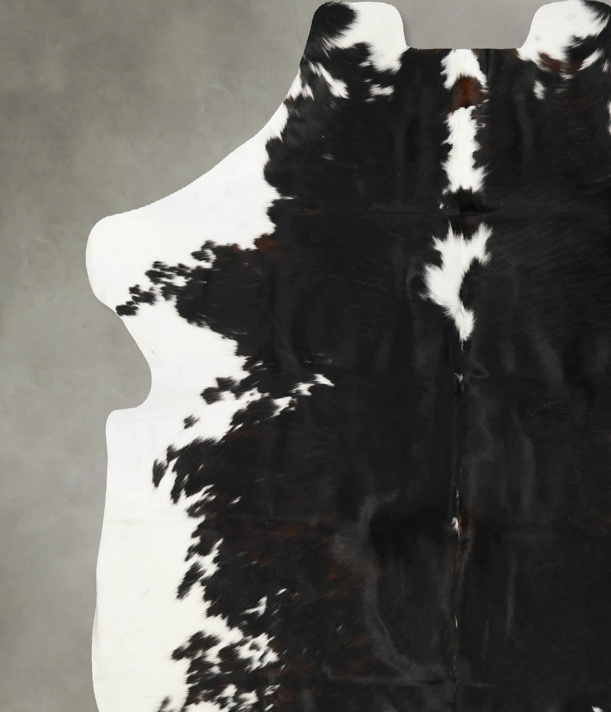 Tricolor XX-Large European Cowhide Rug 7'6"H x 6'11"W #B23509 by Hudson Hides