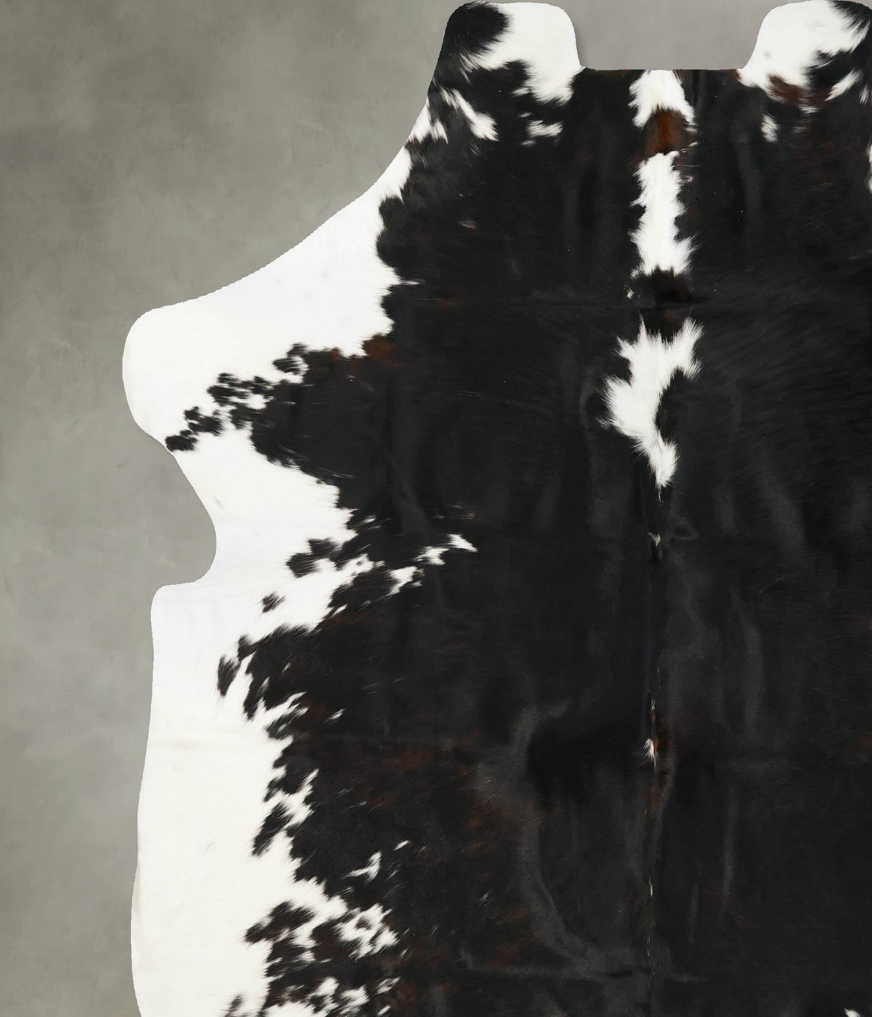 Tricolor Cowhide Rug #B23509