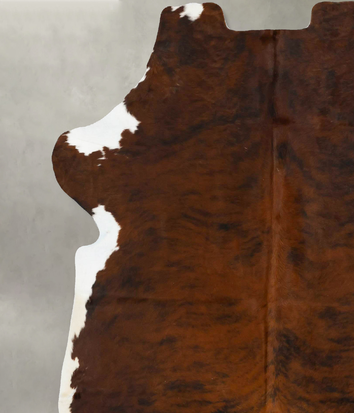Tricolor X-Large European Cowhide Rug 7'4"H x 6'4"W #B23515 by Hudson Hides