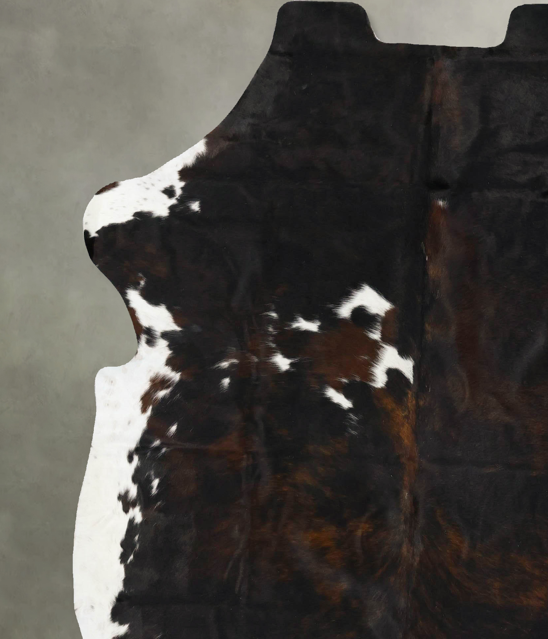 Tricolor Cowhide Rug #B23518