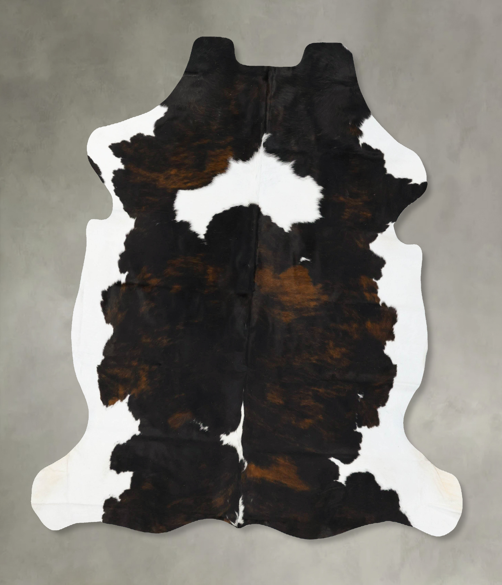 Tricolor Cowhide Rug #B23526