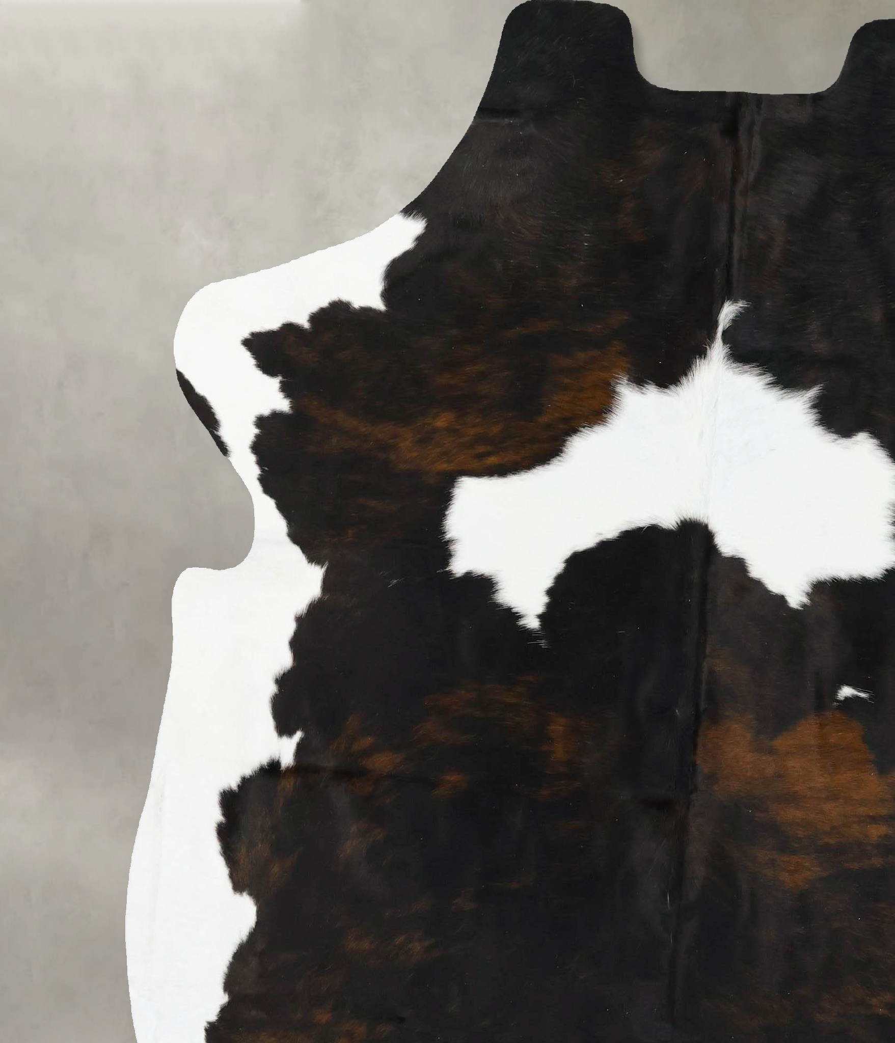 Tricolor Cowhide Rug #B23526