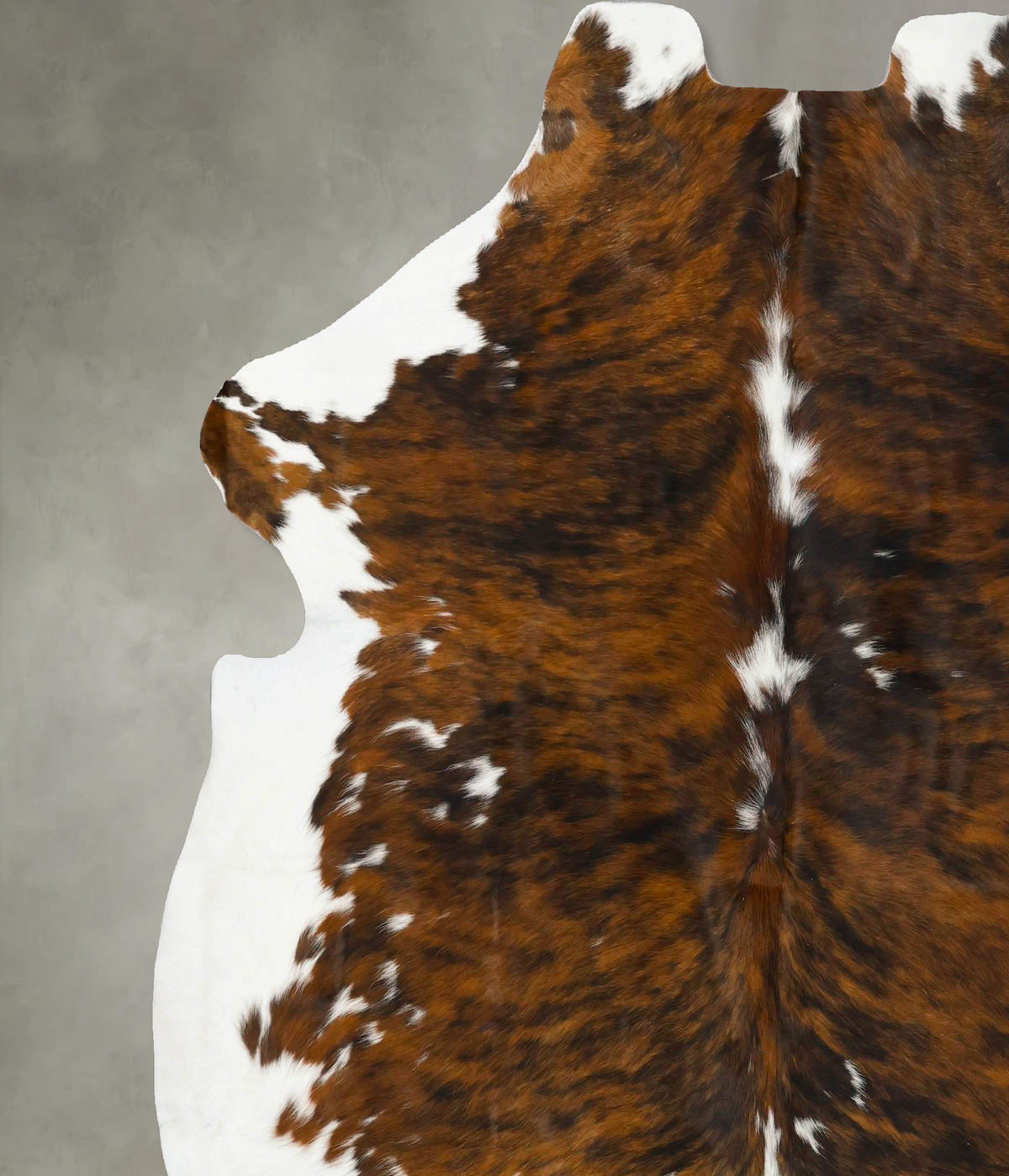 Tricolor XX-Large European Cowhide Rug 7'7"H x 7'2"W #B23529 by Hudson Hides