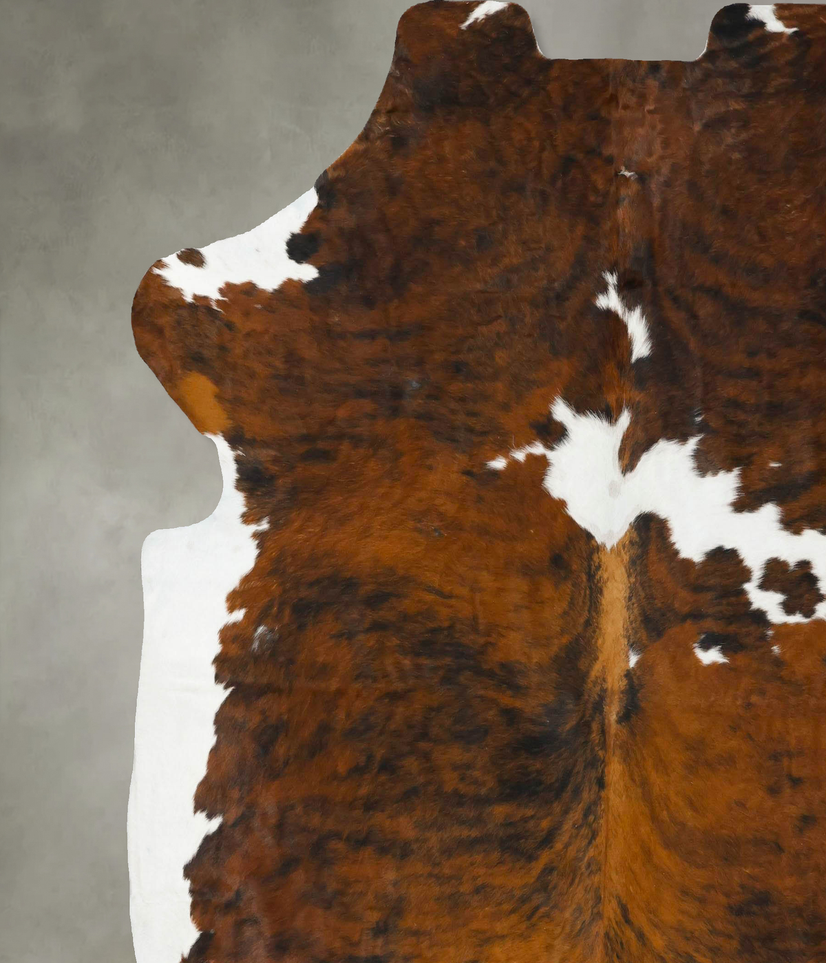 Tricolor XX-Large European Cowhide Rug 7'9"H x 7'1"W #B23530 by Hudson Hides
