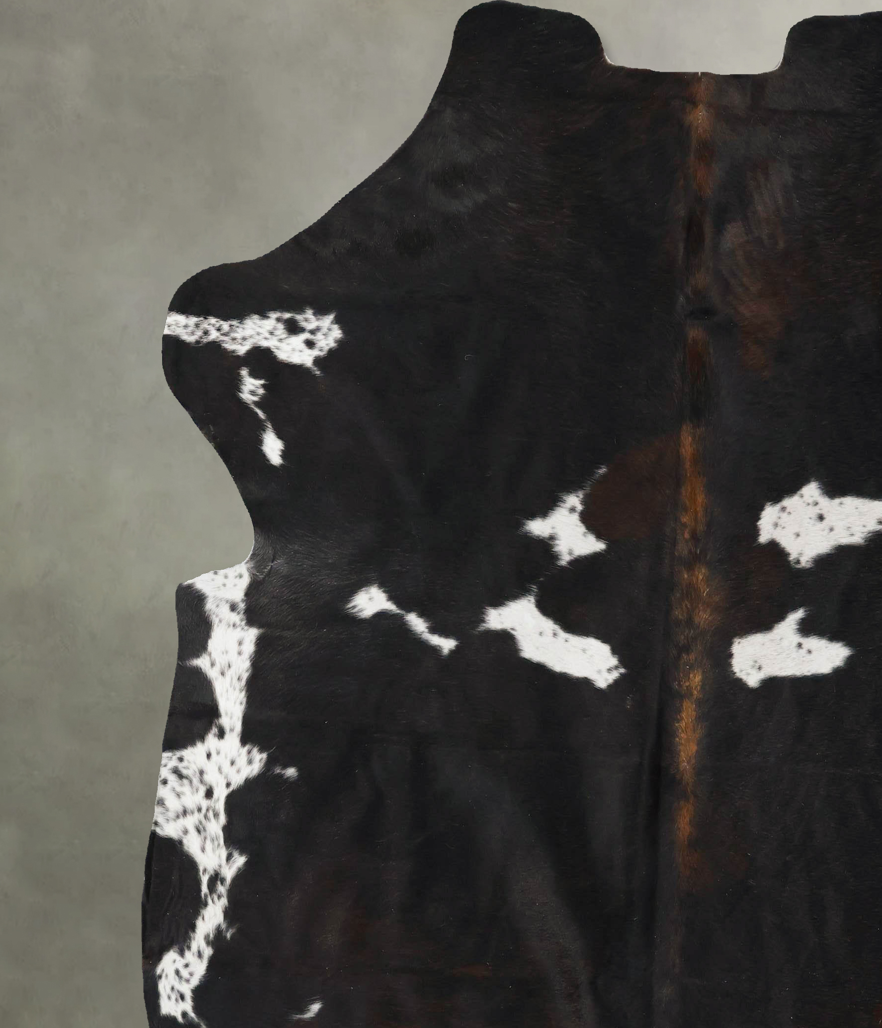 Tricolor Cowhide Rug #B23531