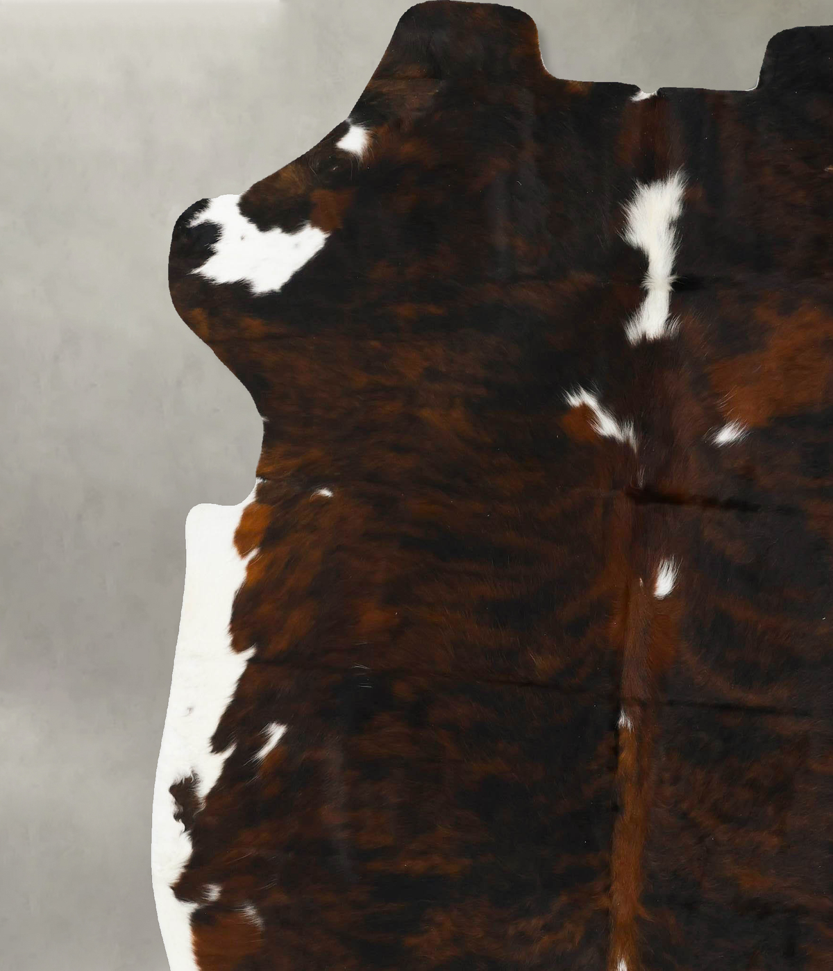 Tricolor XX-Large European Cowhide Rug 7'9"H x 6'11"W #B23532 by Hudson Hides